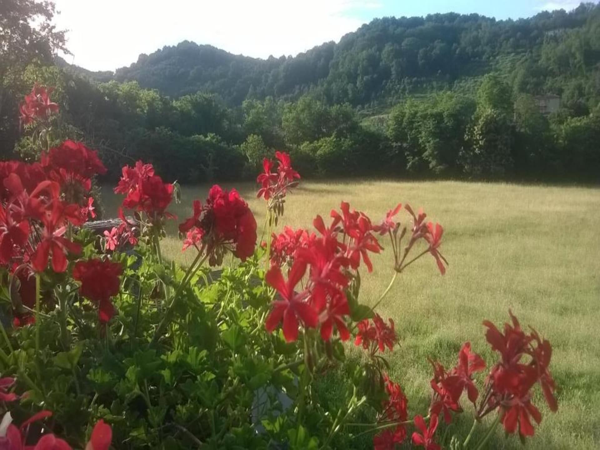 Toscaans vakantiehuis voor 6 in Mulazzo met natuurlijke zwemvijver - foto 32