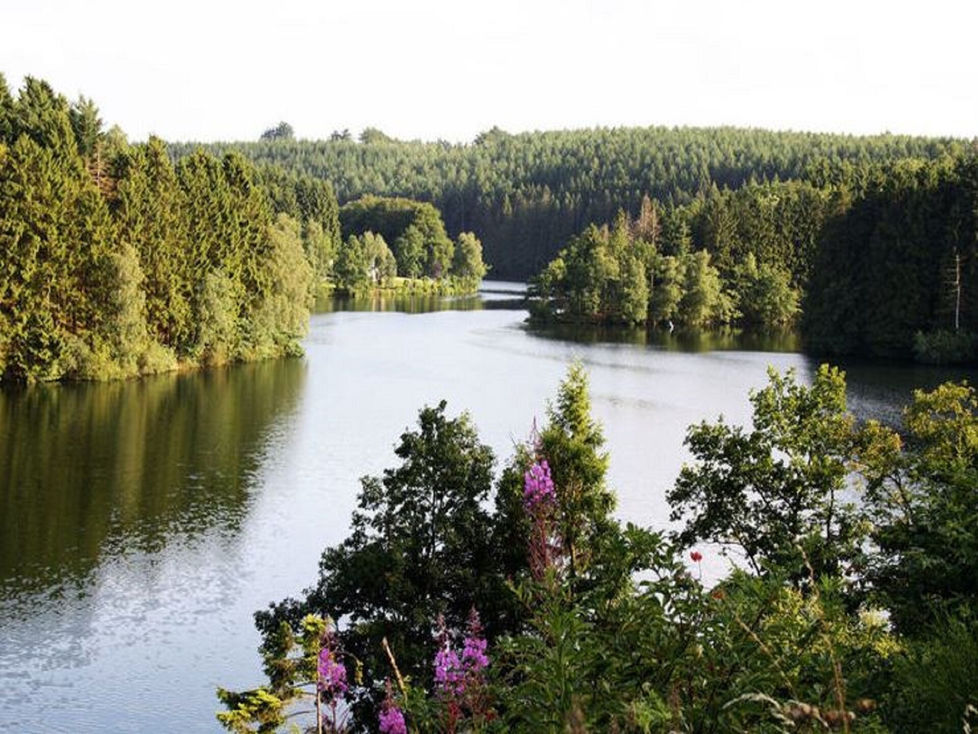 Bosvilla voor 12 personen met sauna, jacuzzi en jeu de boules in Malmédy - foto 32