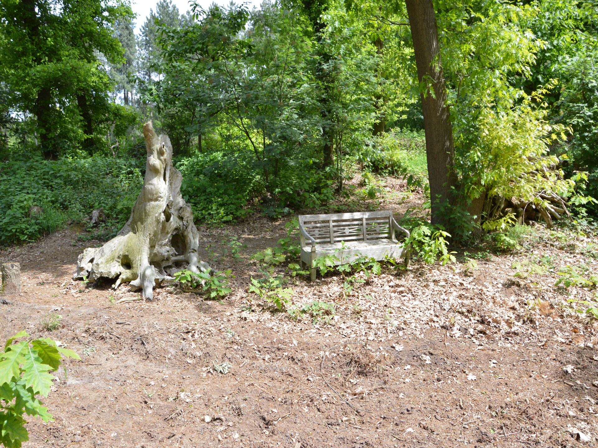 Lodge Maasduinen: sfeervol houten vakantiehuis voor 12 in Nationaal Park - foto 23