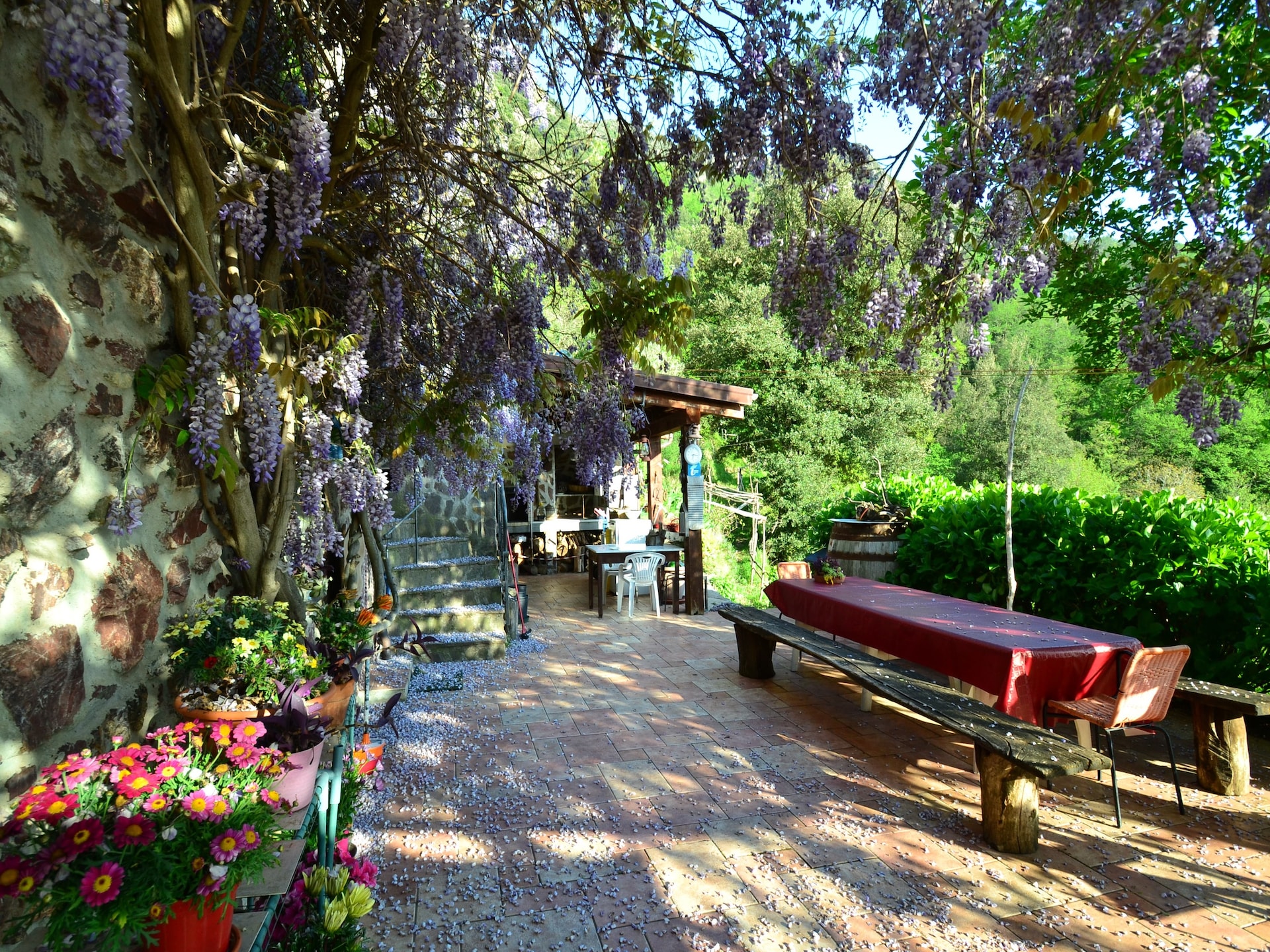 Rustgevende bungalow Gromolino in Sestri Levante voor 4 personen - foto 5