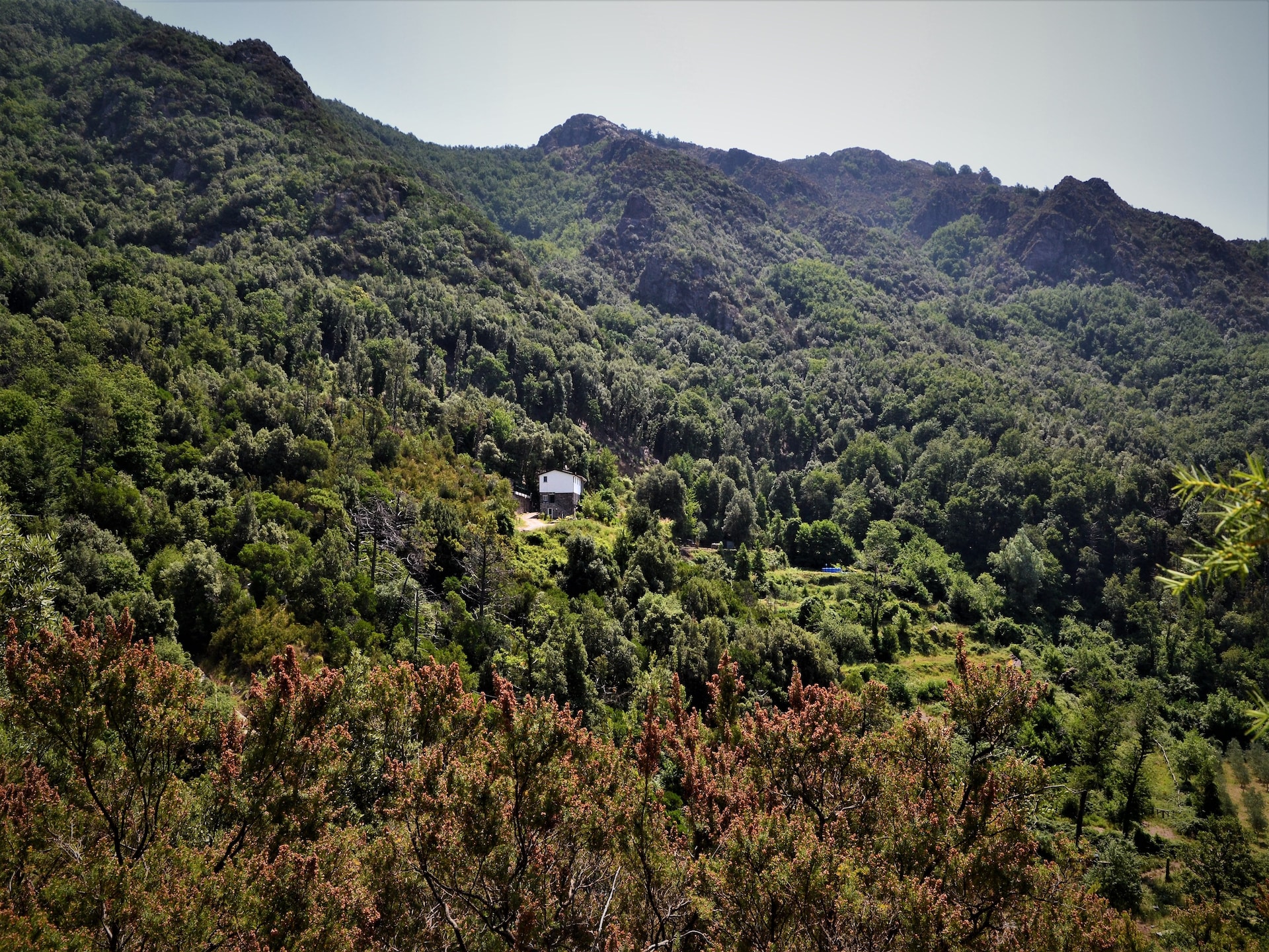 Rustgevende bungalow Gromolino in Sestri Levante voor 4 personen - foto 27