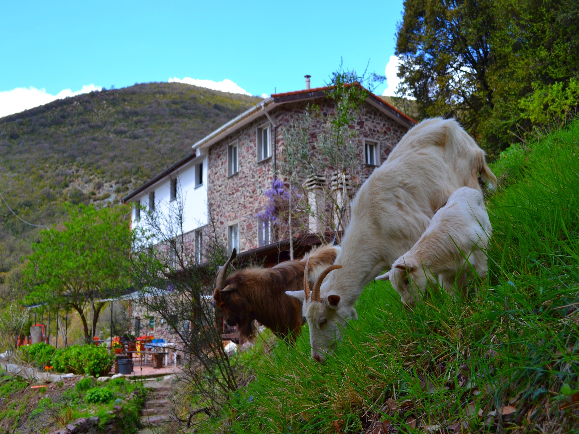 Rustiek bosappartement met uitzicht op de Ligurische kust bij Sestri Levante - foto 19