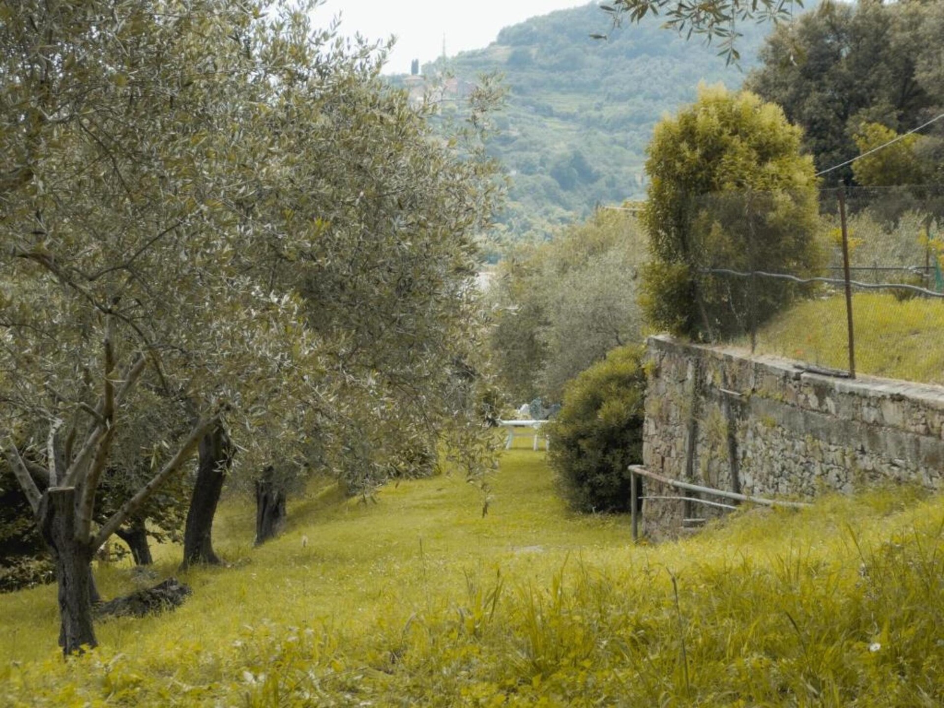 Rustiek bosappartement met uitzicht op de Ligurische kust bij Sestri Levante - foto 33