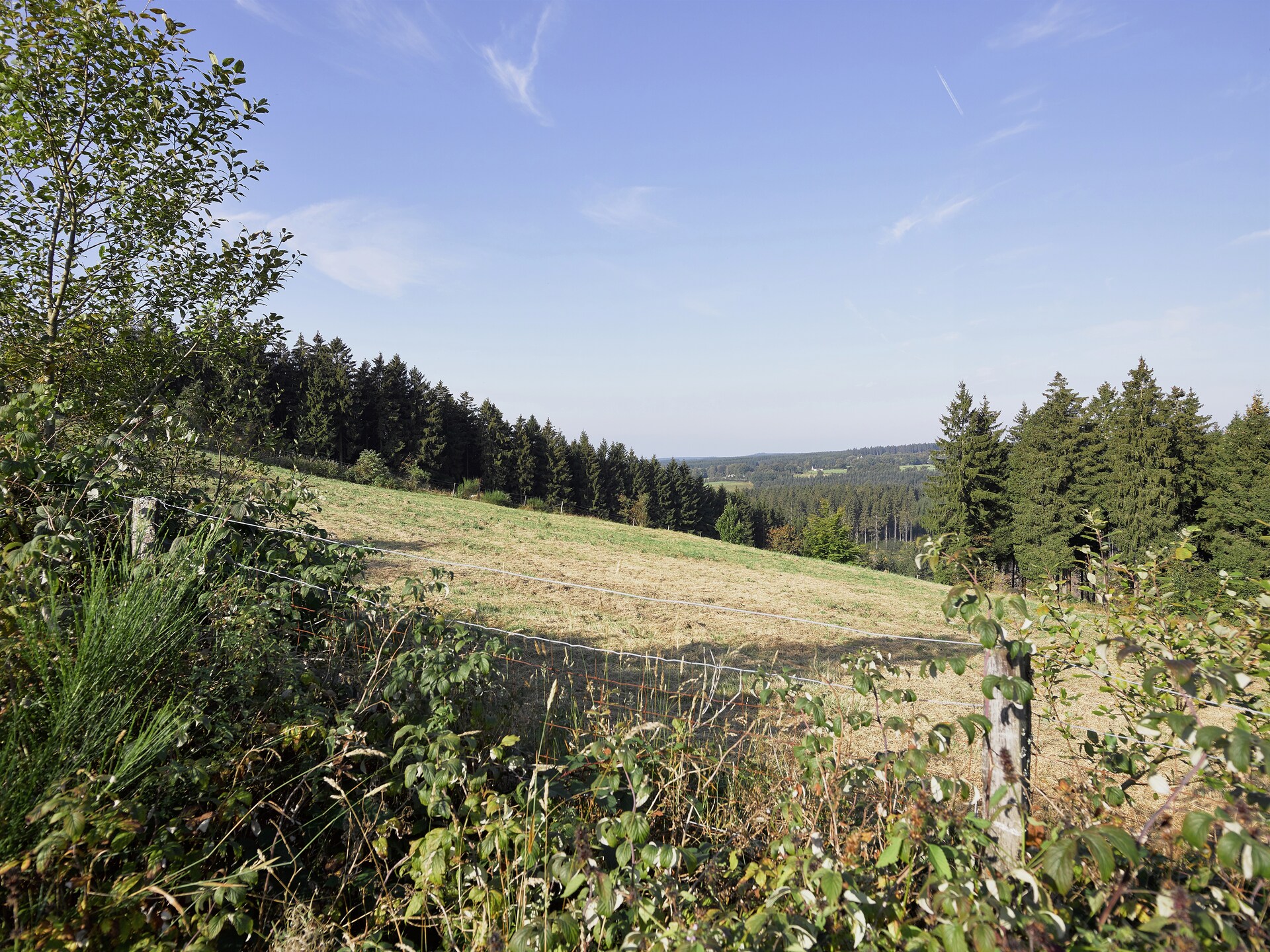 9-persoons vakantiehuis aan de piste in Waimes - foto 29