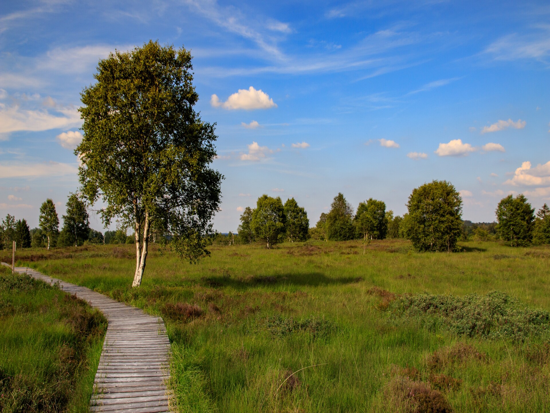 9-persoons vakantiehuis aan de piste in Waimes - foto 35