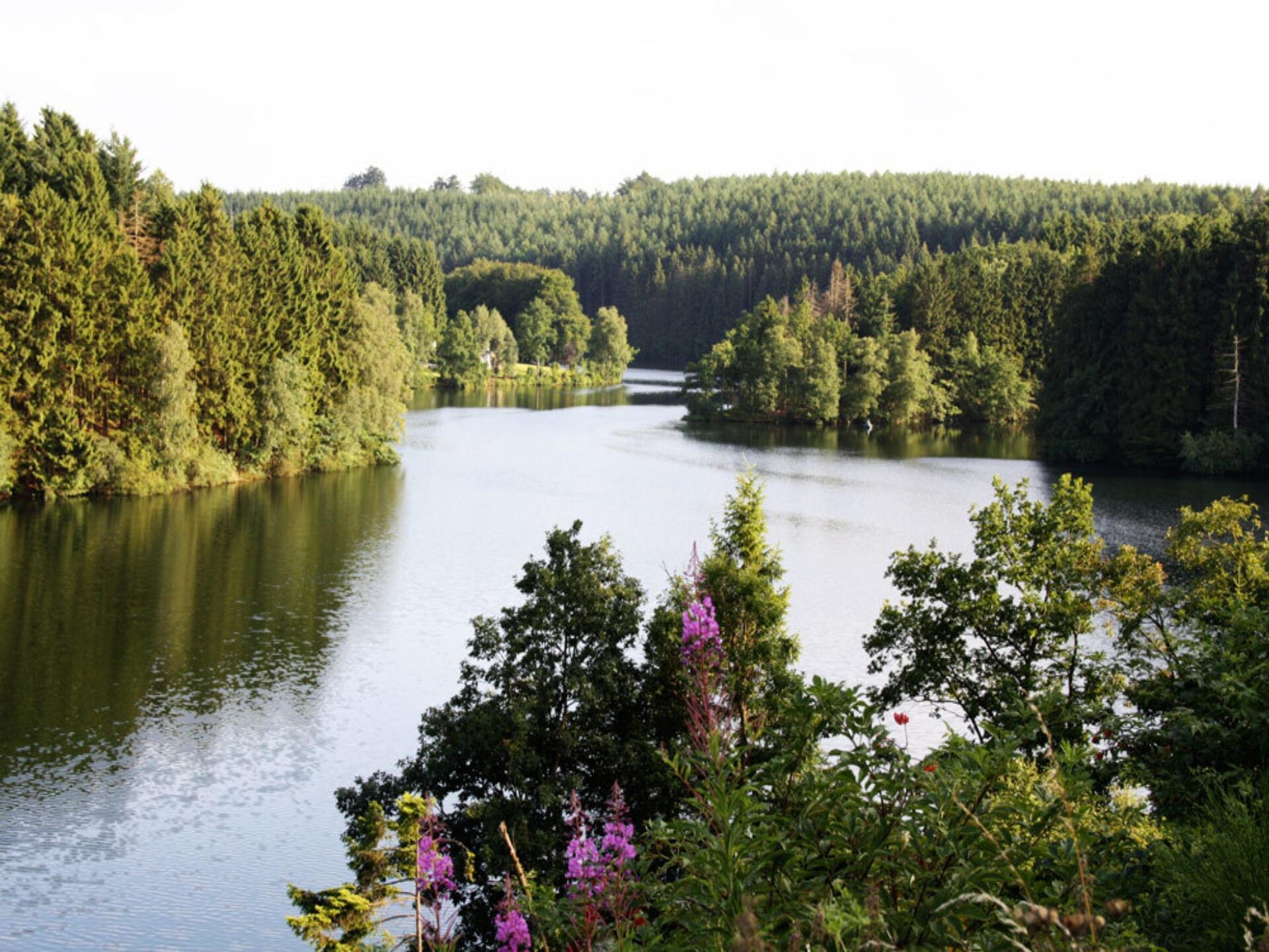 6-persoons vakantiehuis met sauna en open haard in Ovifat - foto 16