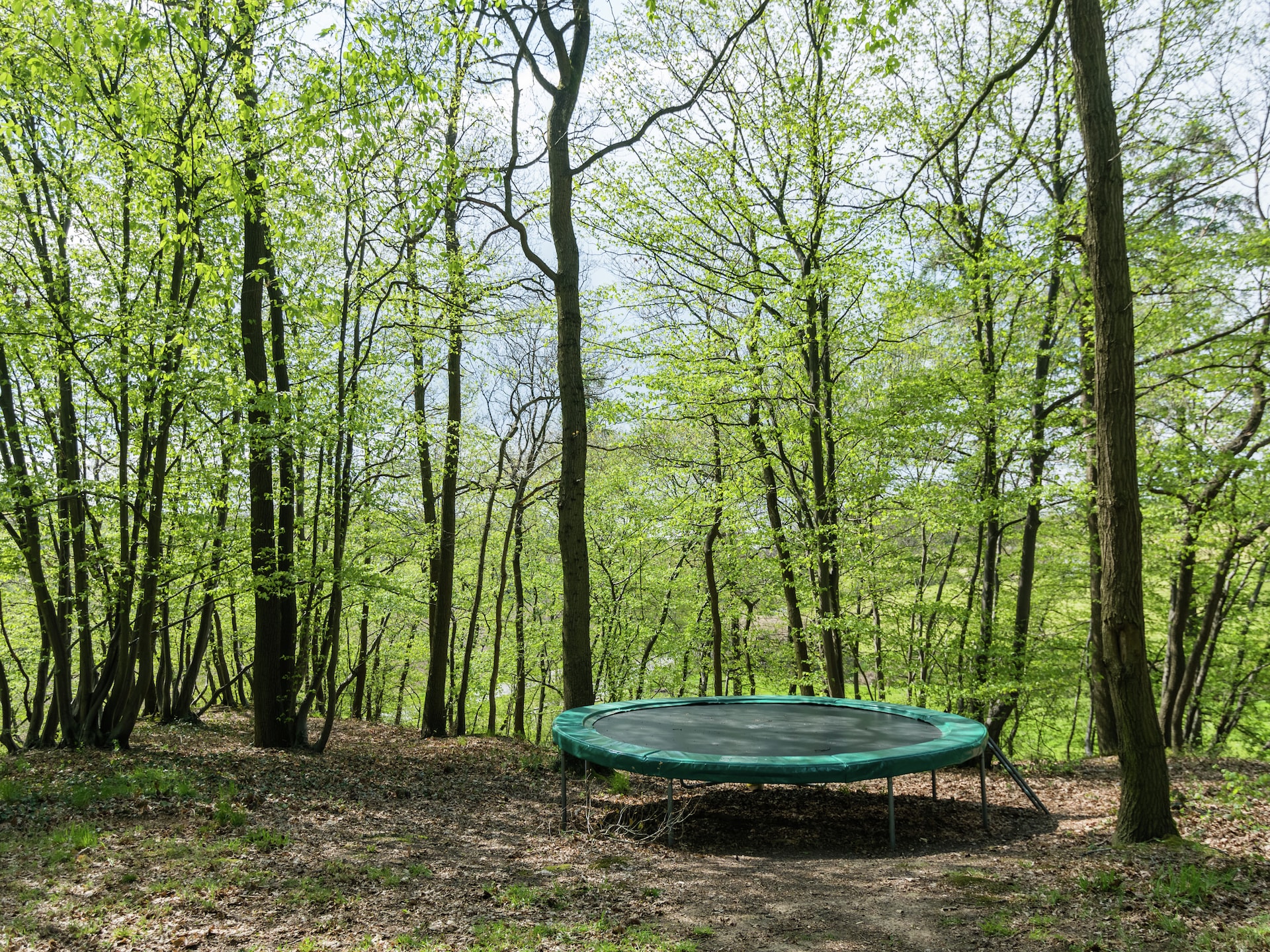 11-persoons vakantiehuis met sauna en haardvuur in Aubel - foto 28