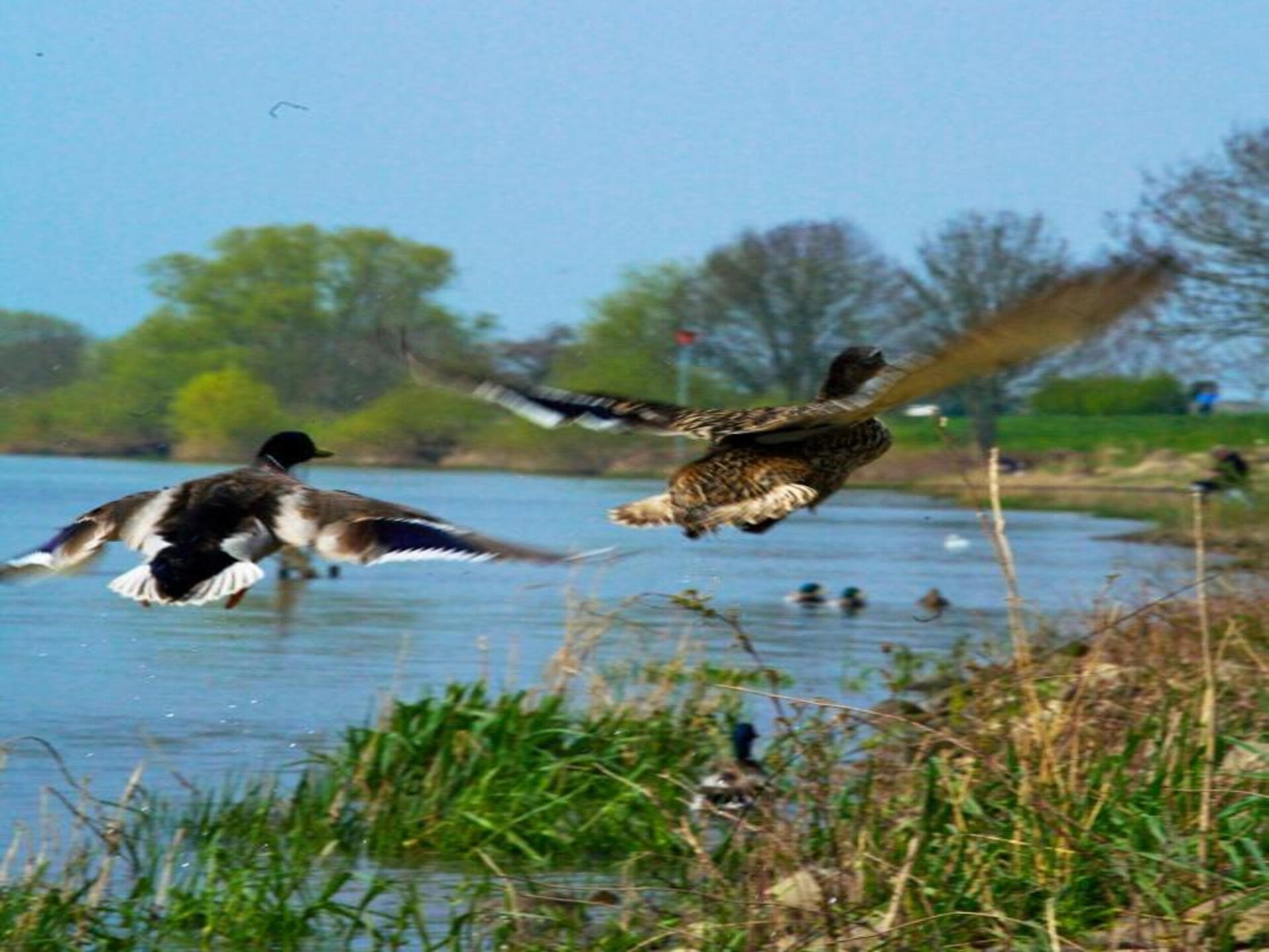 Villa voor 20 personen op Resort Arcen in Noord-Limburg - foto 37