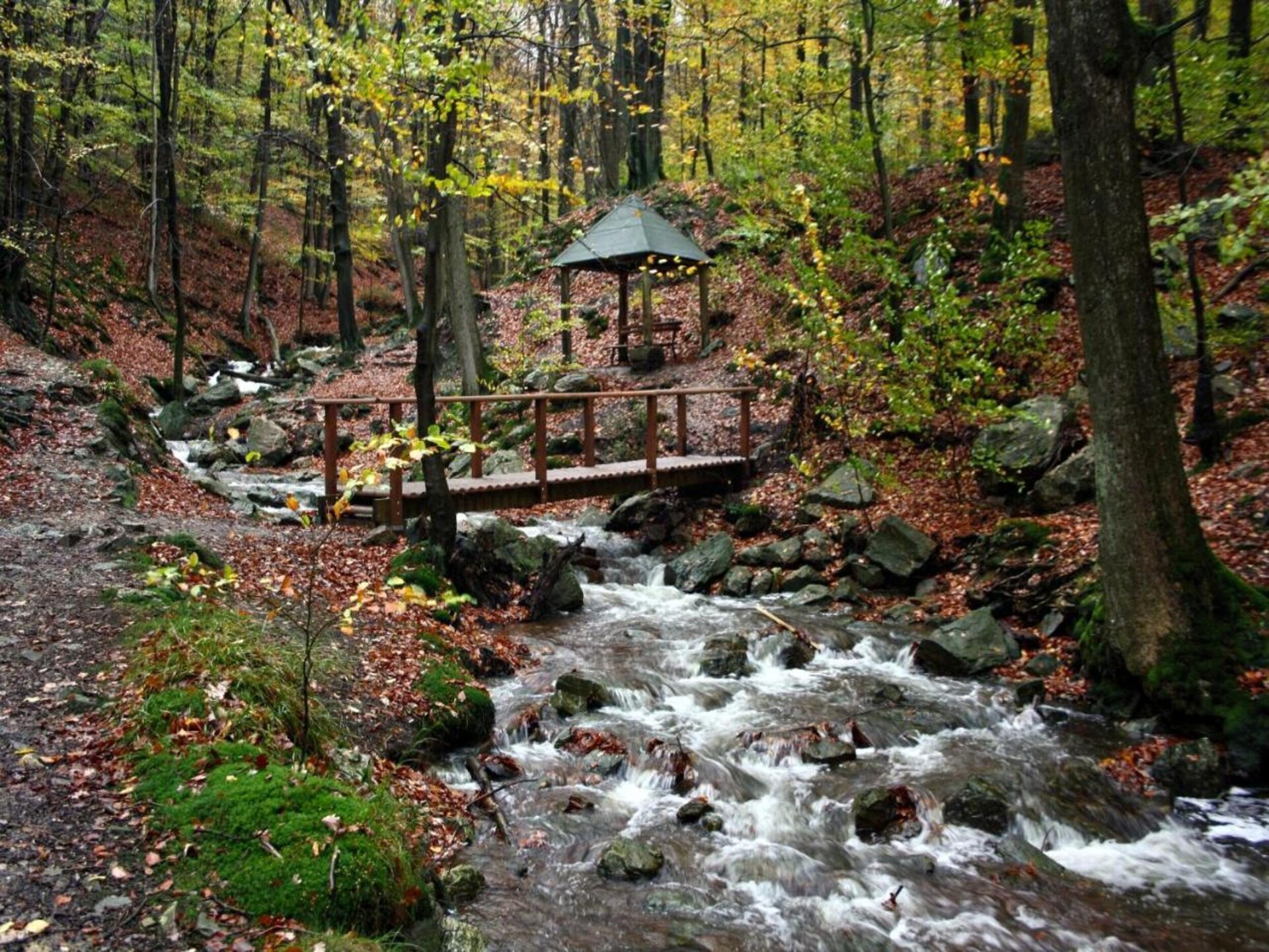 Villa Zen - foto 36