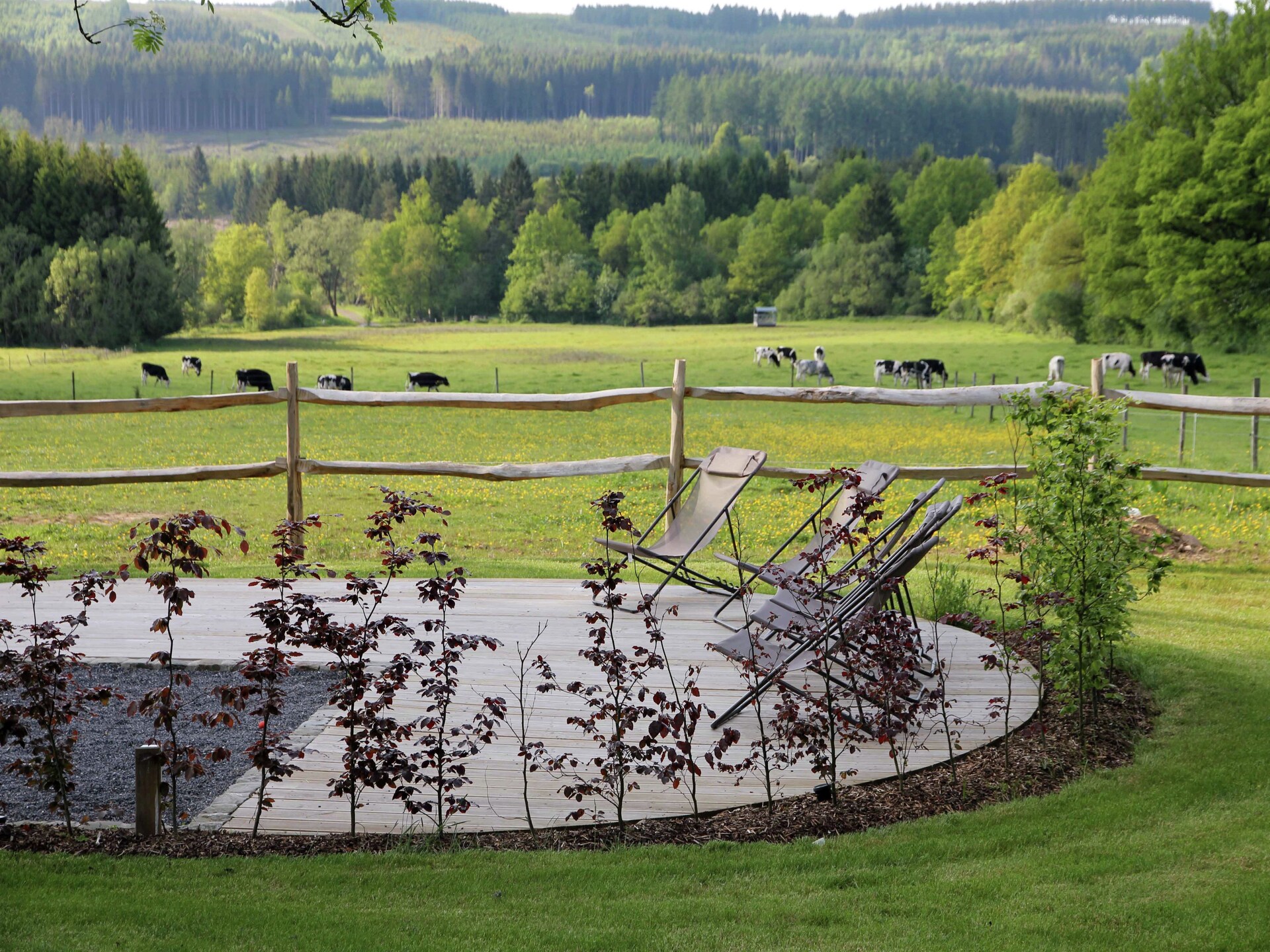 Luxe vakantiehuis voor 14 personen met wellness in de bossen van Manhay - foto 23