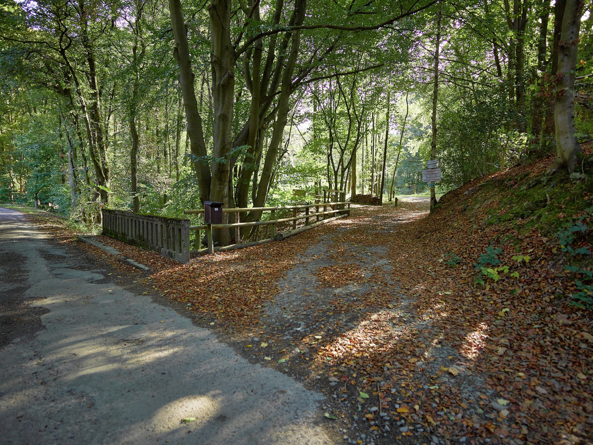 Op loopafstand van centrum Jalhay: 9-persoons vakantiehuis aan het bos - foto 32