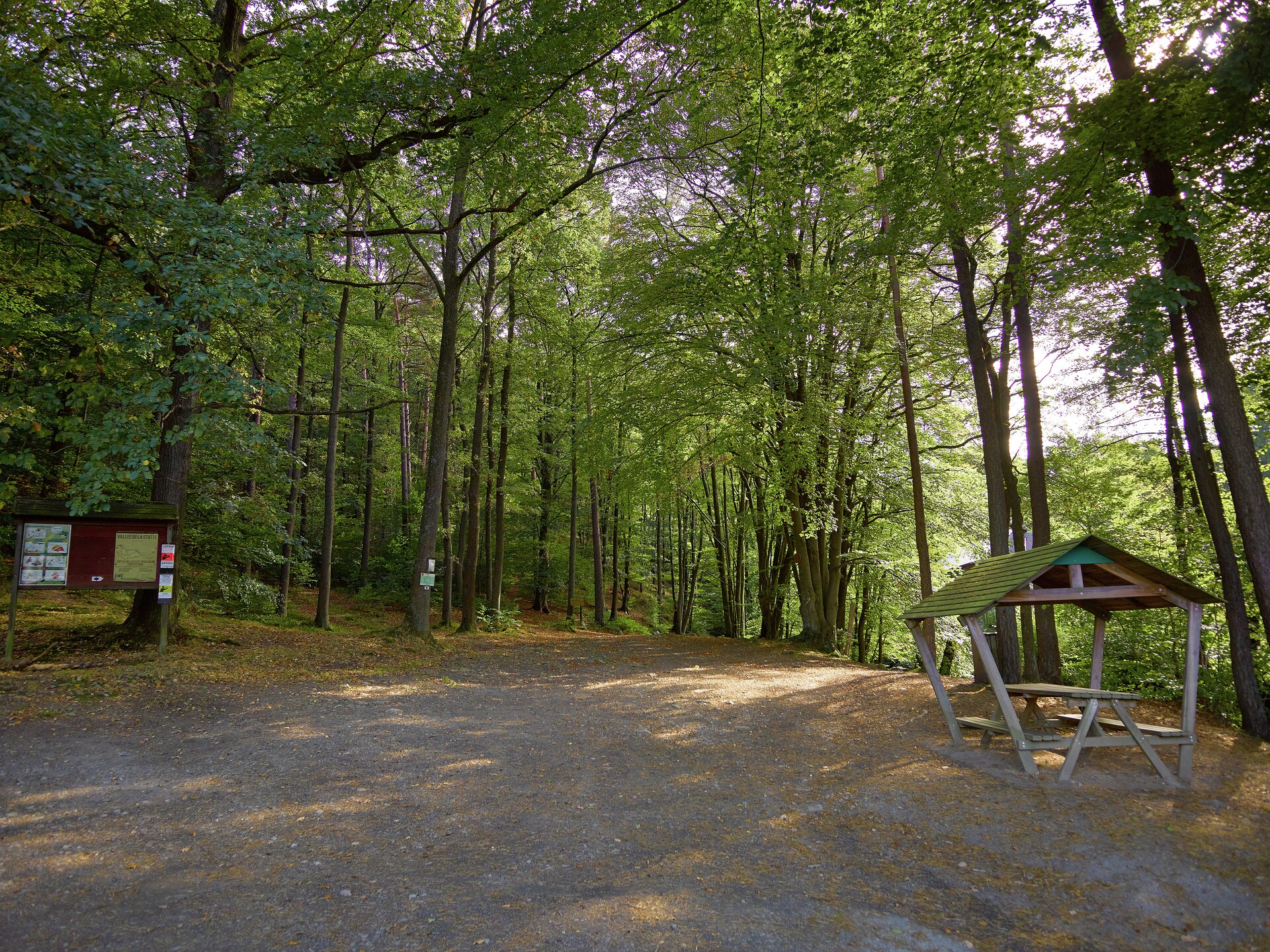 Op loopafstand van centrum Jalhay: 9-persoons vakantiehuis aan het bos - foto 34