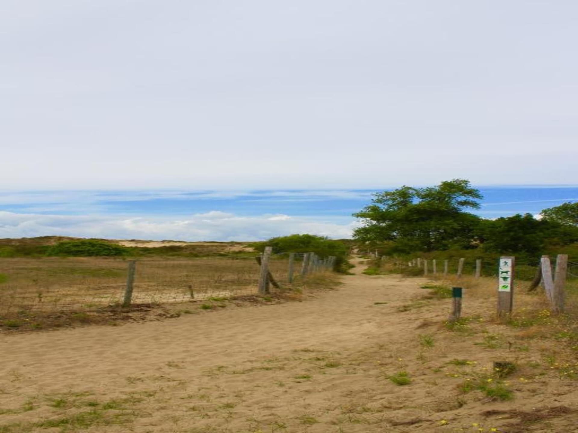 10-persoons villa in Oostduinkerke nabij zee en natuur - foto 32
