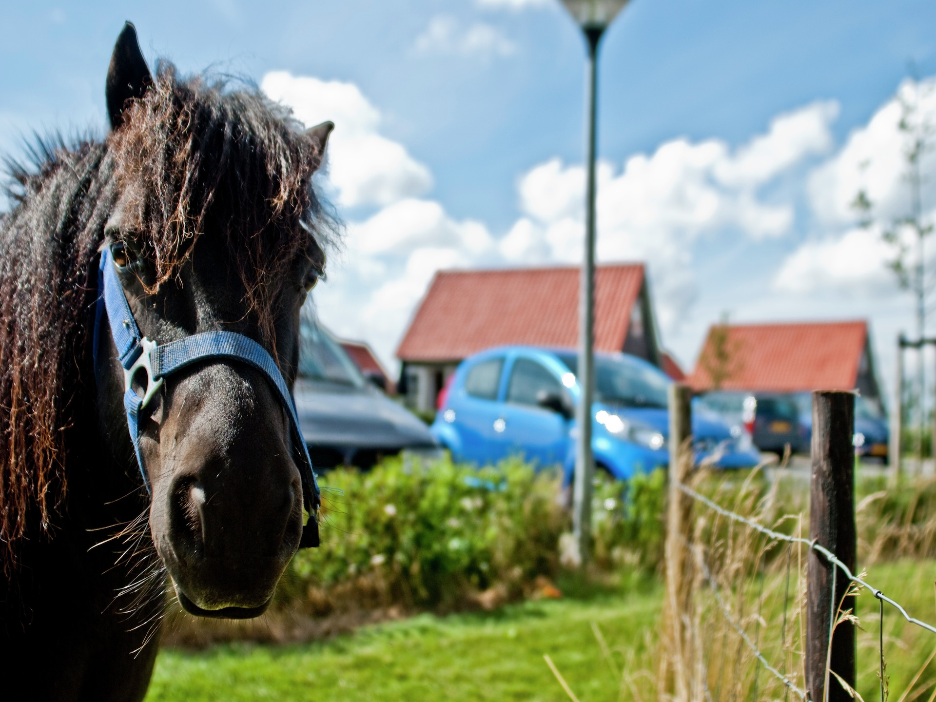 Knus vrijstaand huisje aan de Zeeuwse kust in Wemeldinge - foto 16