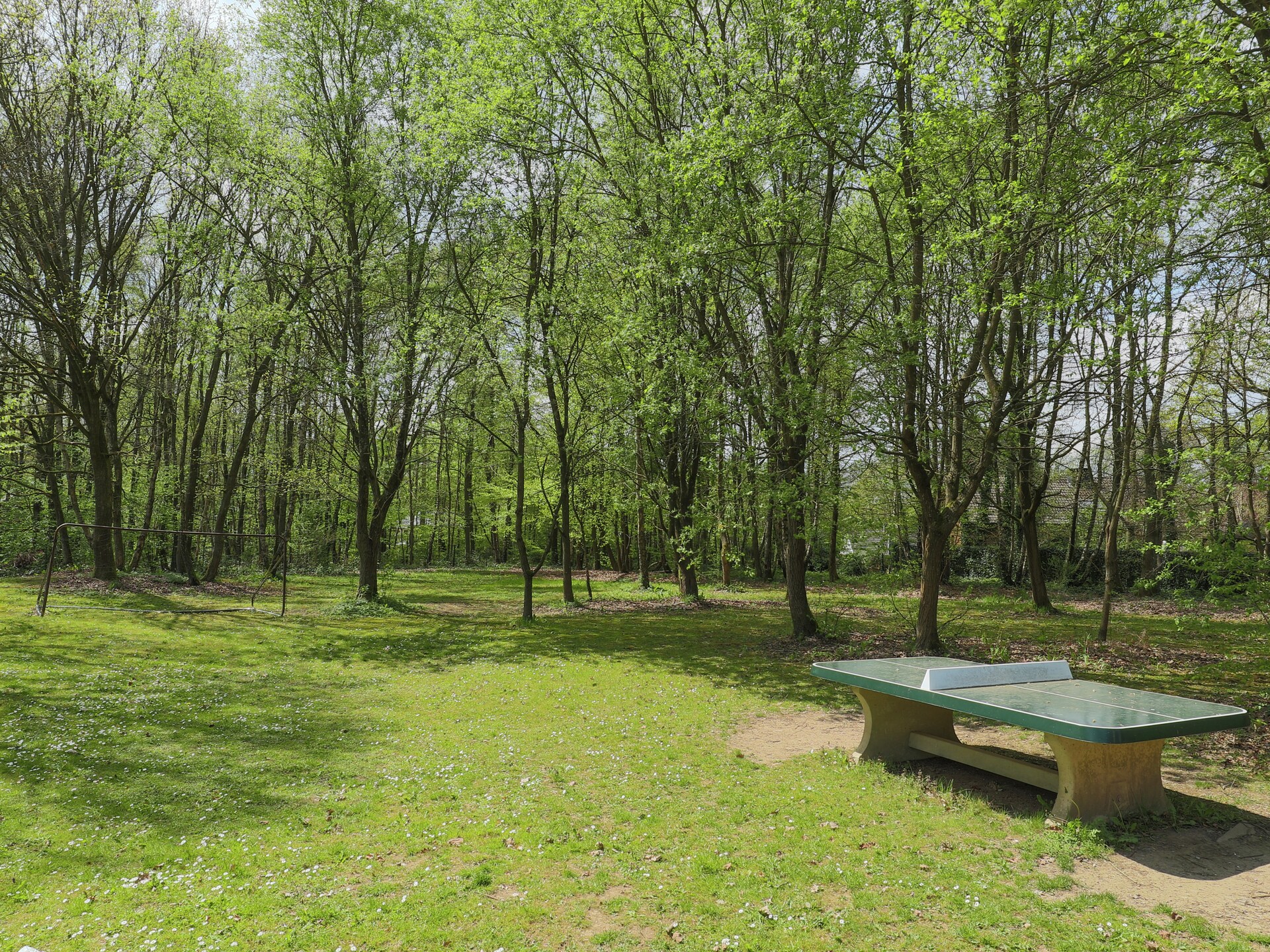 8-persoons villa met balkon en omheinde tuin in Rendeux-Beffe - foto 31