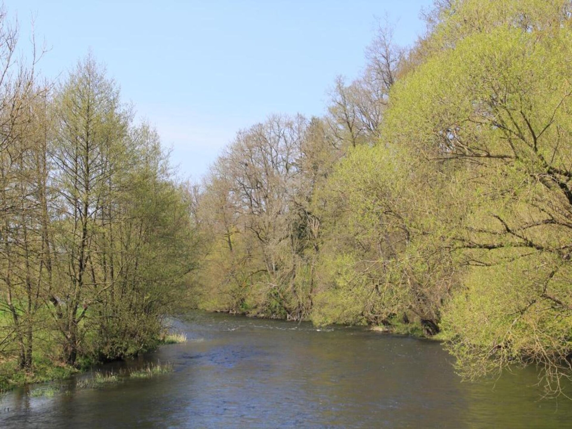 8-persoons villa met balkon en omheinde tuin in Rendeux-Beffe - foto 35