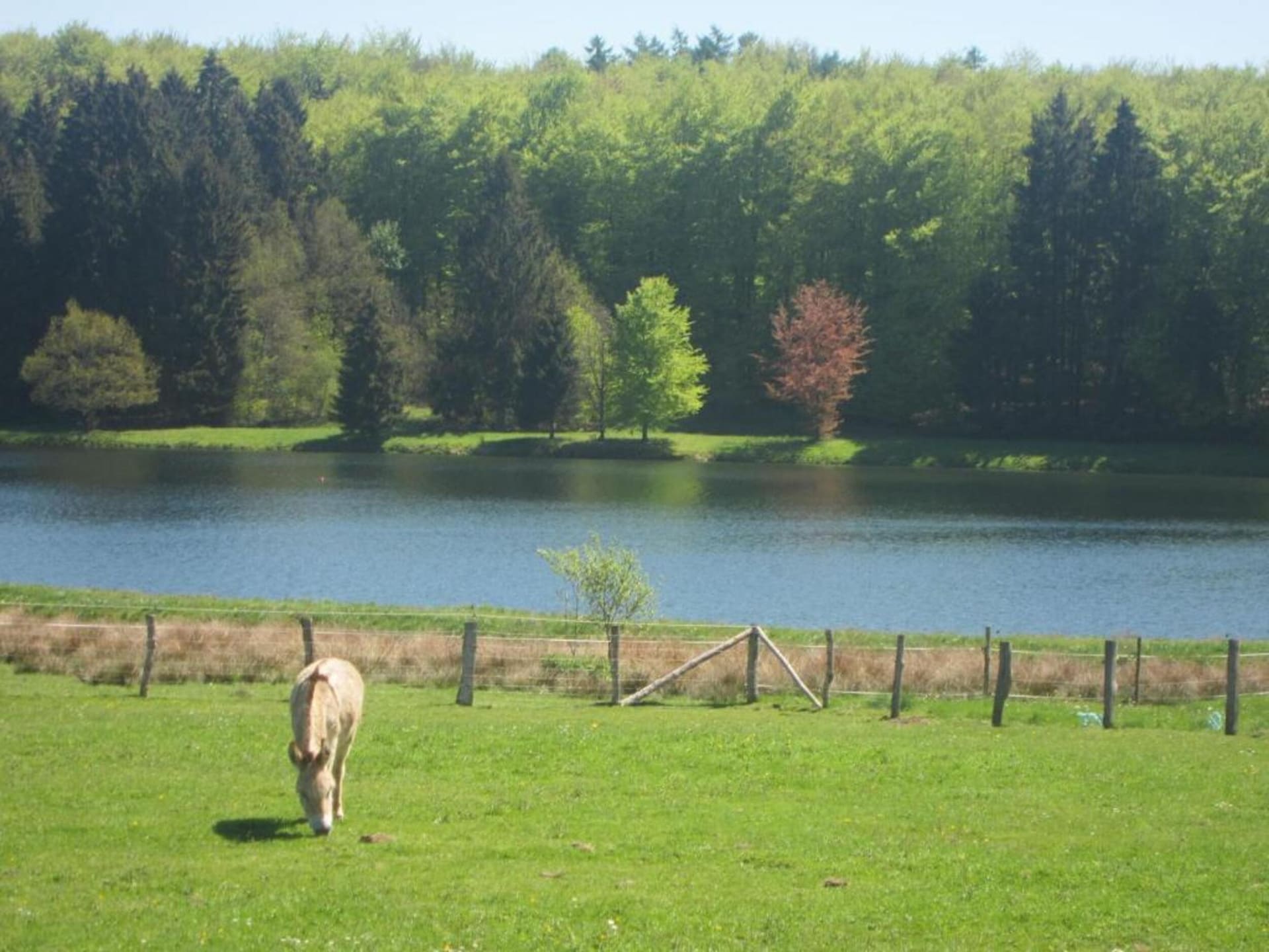 Perle d'Achouffe - foto 39