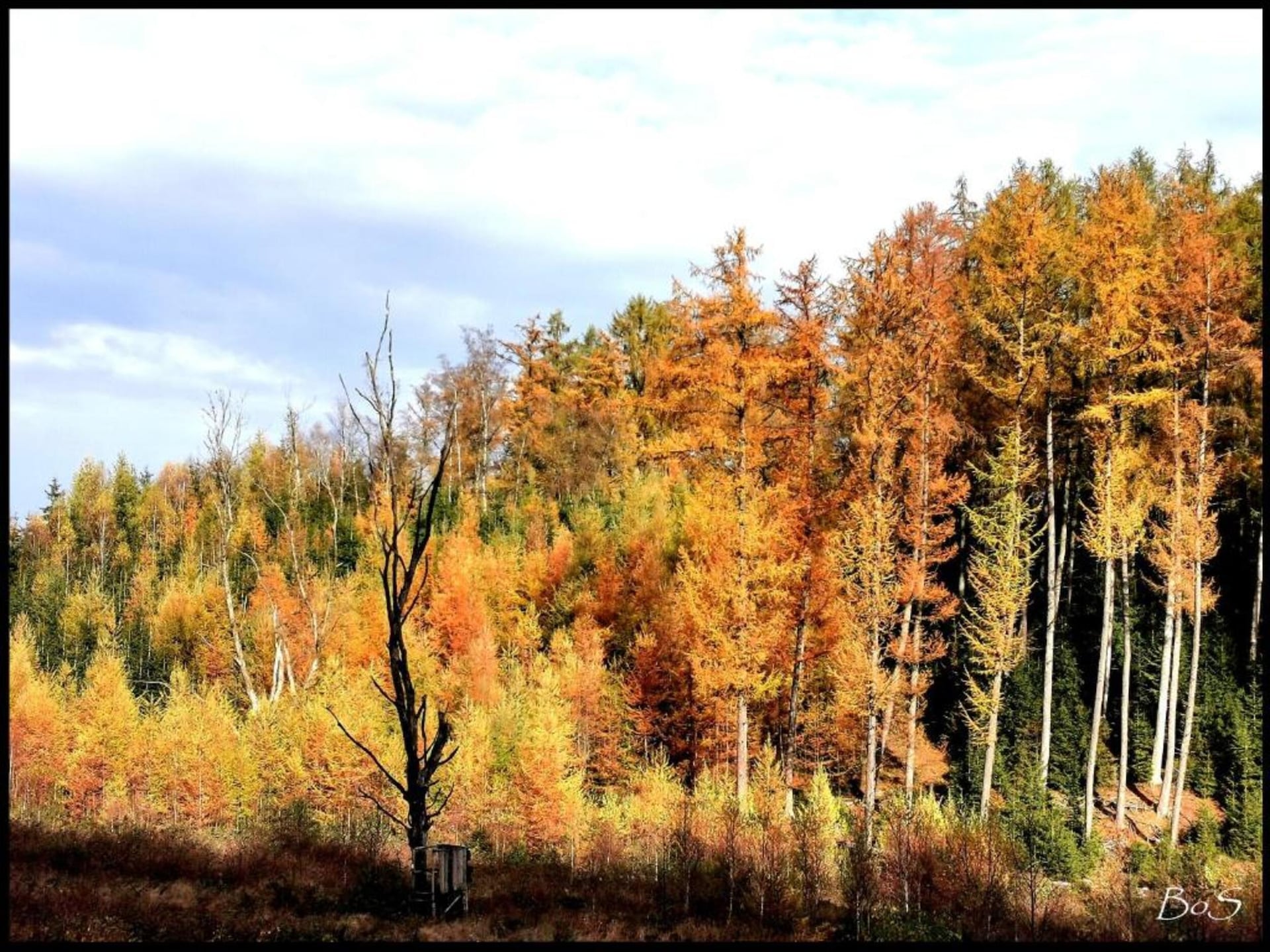 Perle d'Achouffe - foto 30