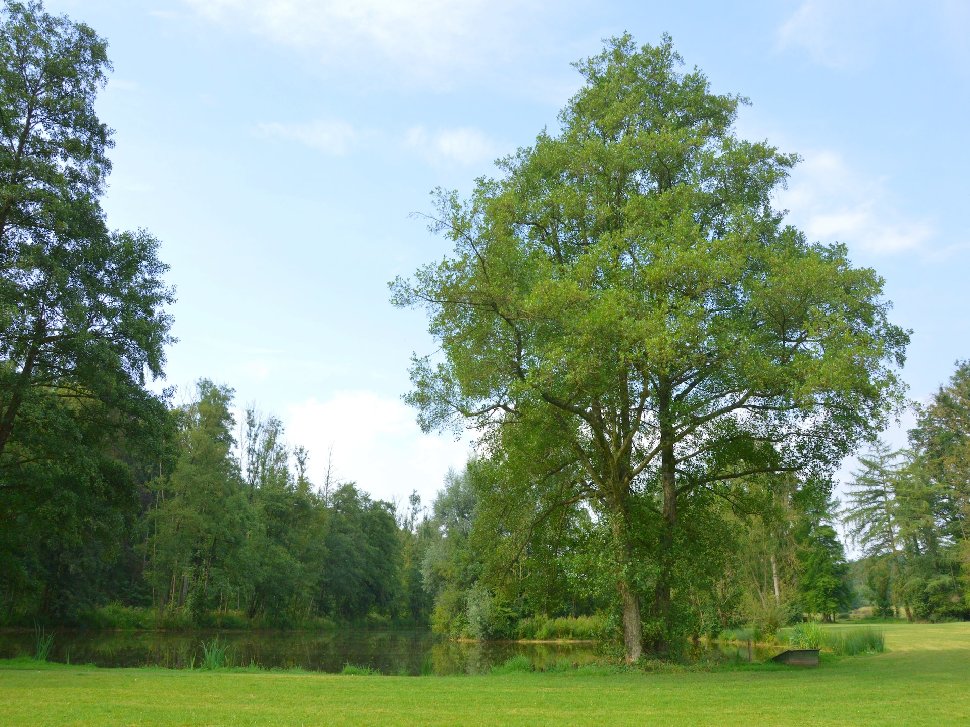 36-persoons kasteel met sauna en vijver in Vyle-Et-Tharoul - foto 35