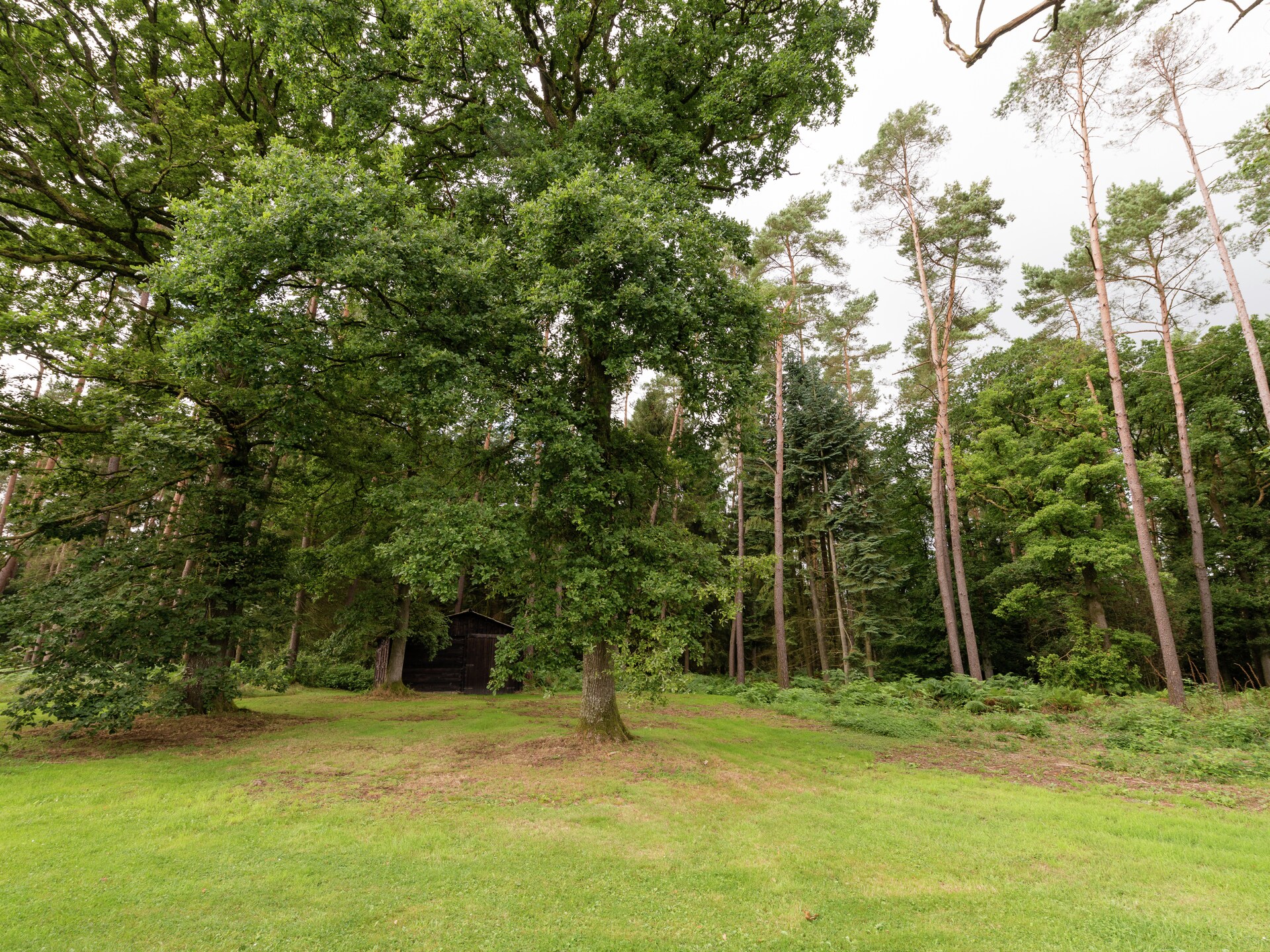 Villa Le Beau Jardin: 5-slaapkamer villa met sauna en tennis in Tenneville - foto 33