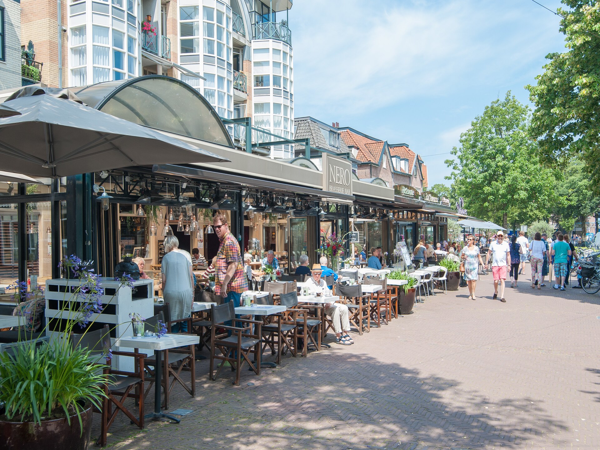 Het Roefje: Knus vakantiehuis voor 2 in bosrijk Bergen, dichtbij zee - foto 20