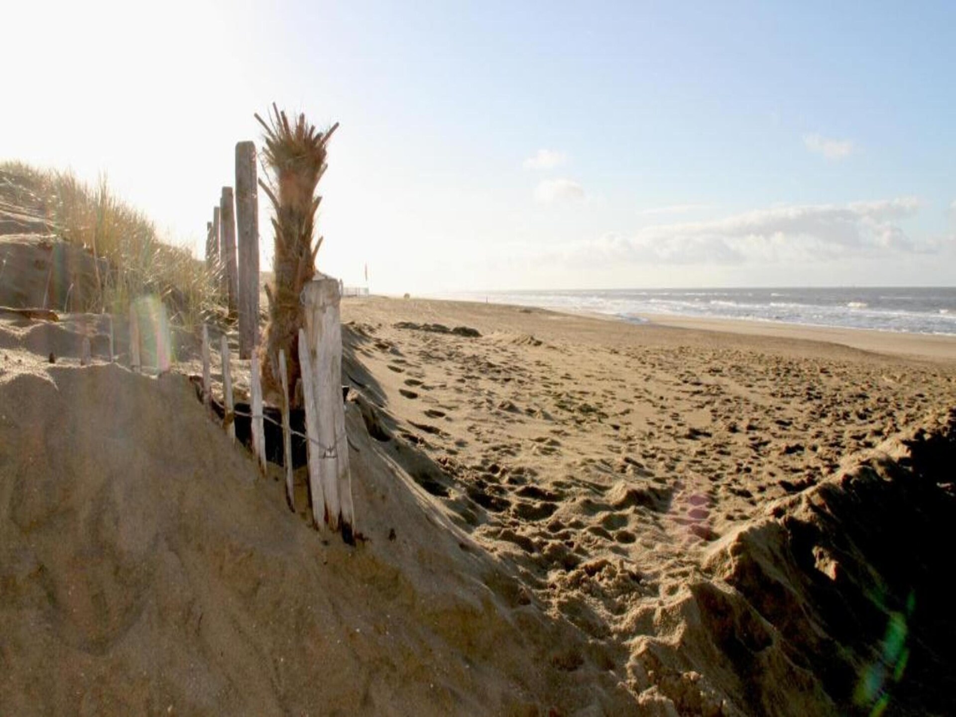 Beaudune: Knus vakantiehuis in bos, 400m van Noordwijks strand - foto 31