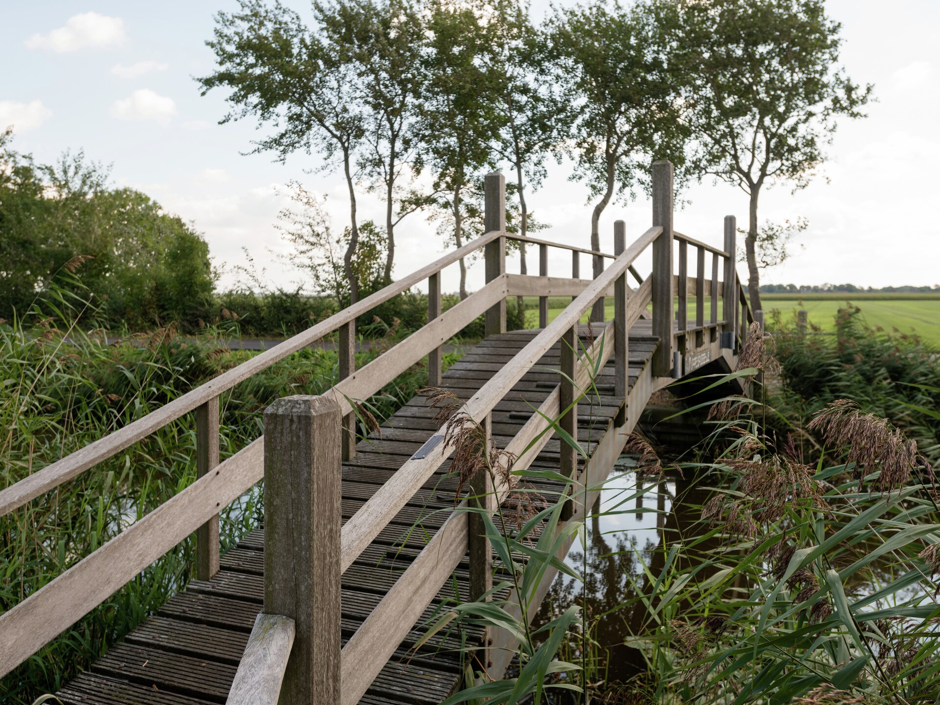 Harrekidee: Modern appartement aan zee en in het bos, Sint Maartensbrug - foto 15
