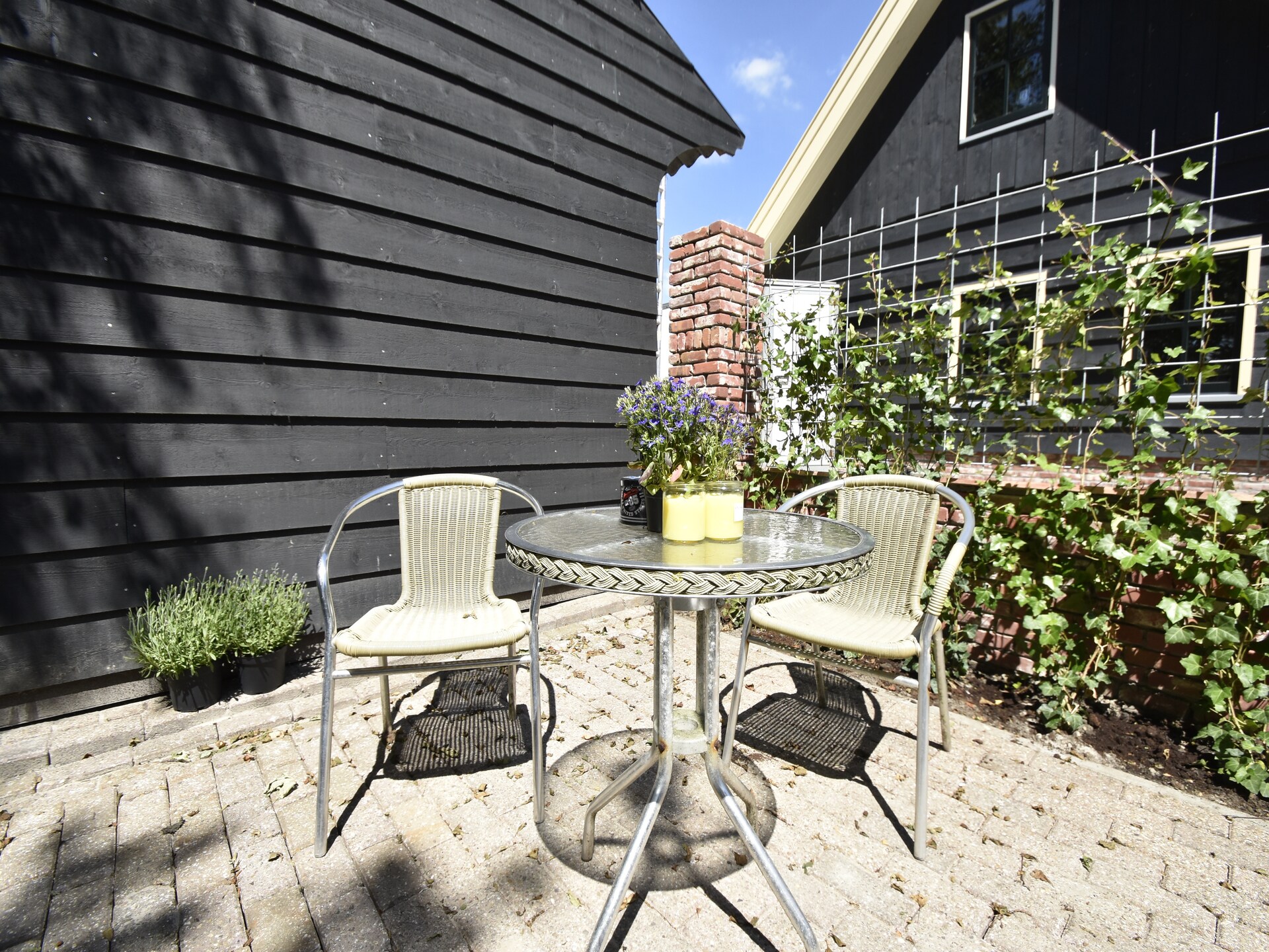 Harrekidee: Modern appartement aan zee en in het bos, Sint Maartensbrug - foto 11