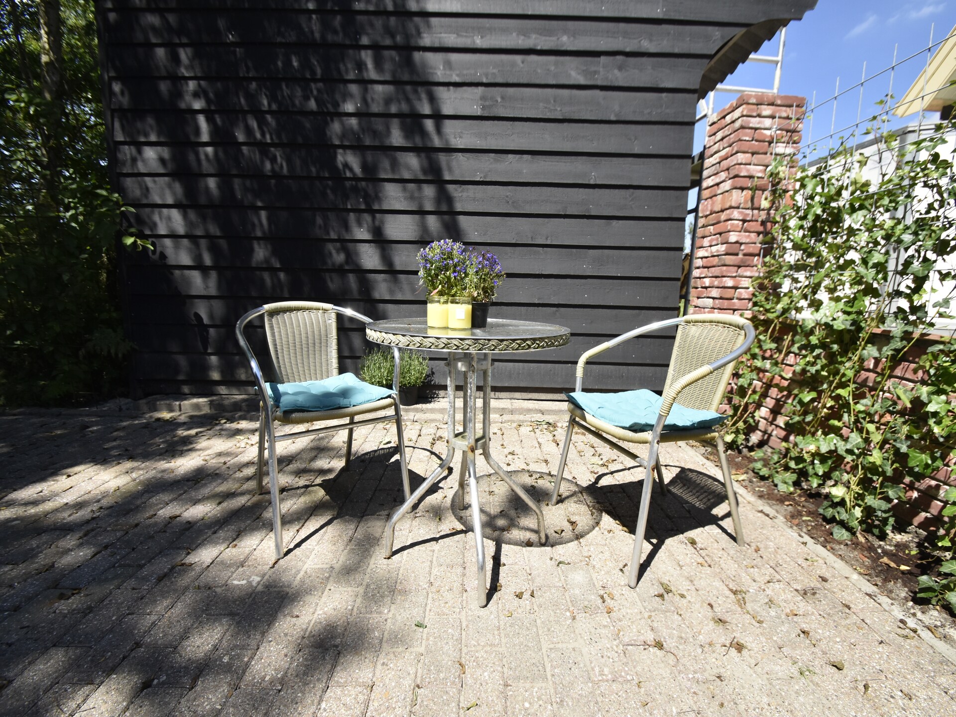 Harrekidee: Modern appartement aan zee en in het bos, Sint Maartensbrug - foto 5