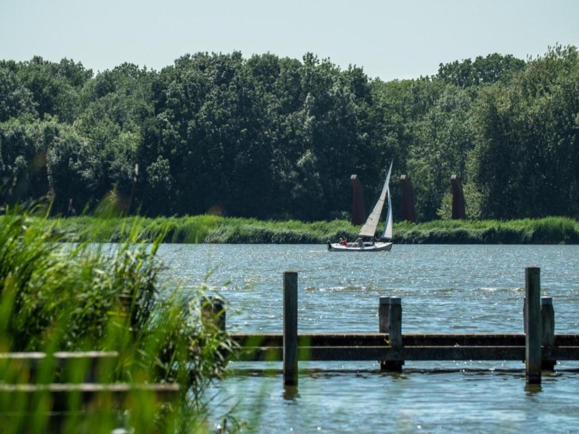 Harrekidee: Modern appartement aan zee en in het bos, Sint Maartensbrug - foto 28