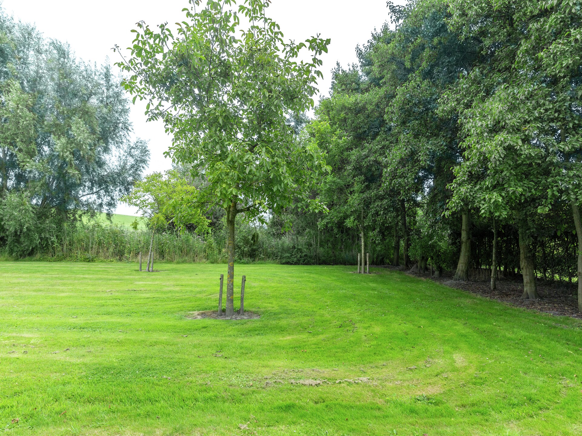 De Notenweide - foto 37