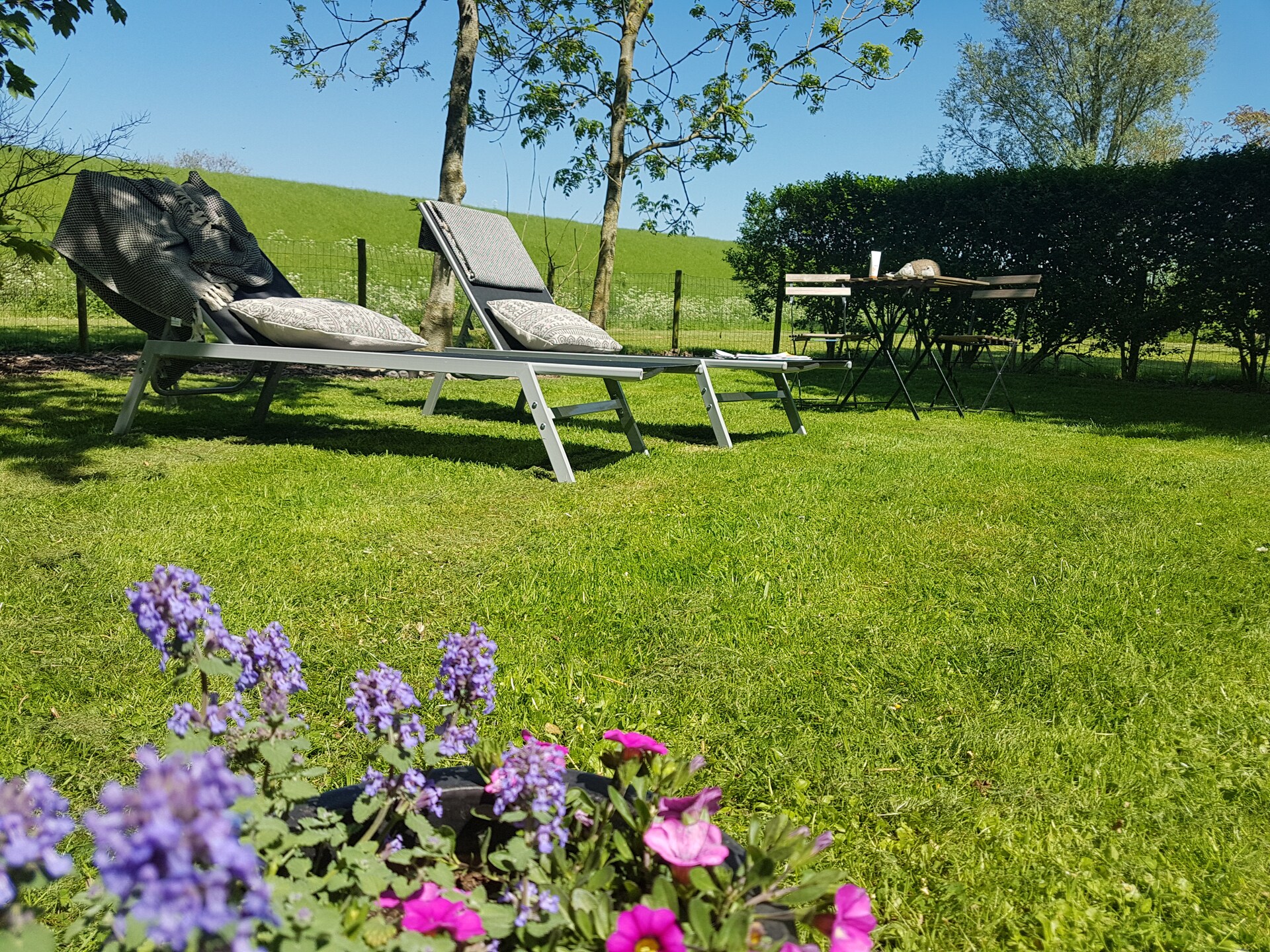 De Notenweide - foto 20