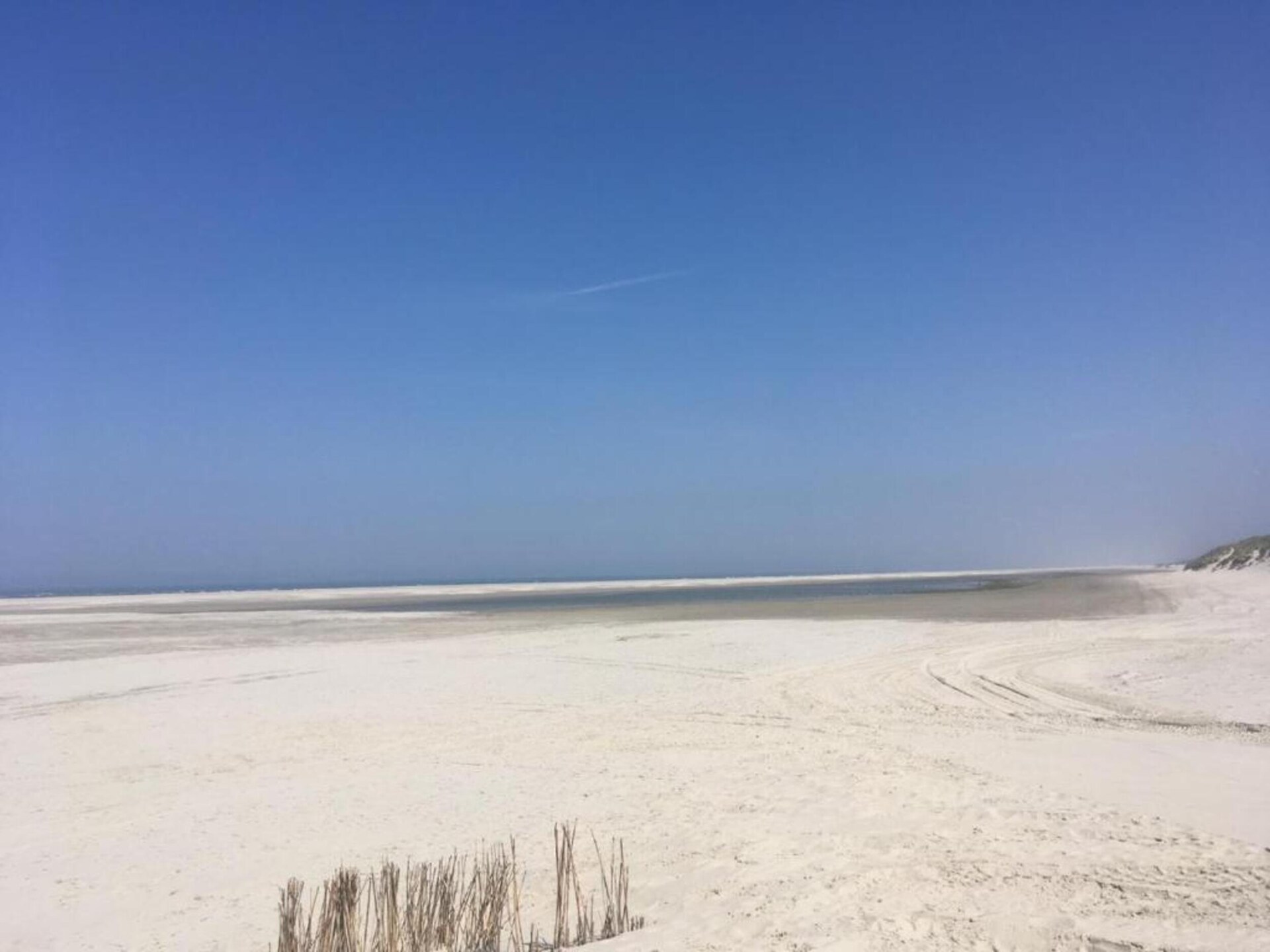 Anno 1711: Sfeervol landhuis in het bos bij Nes, 1km van strand - foto 32