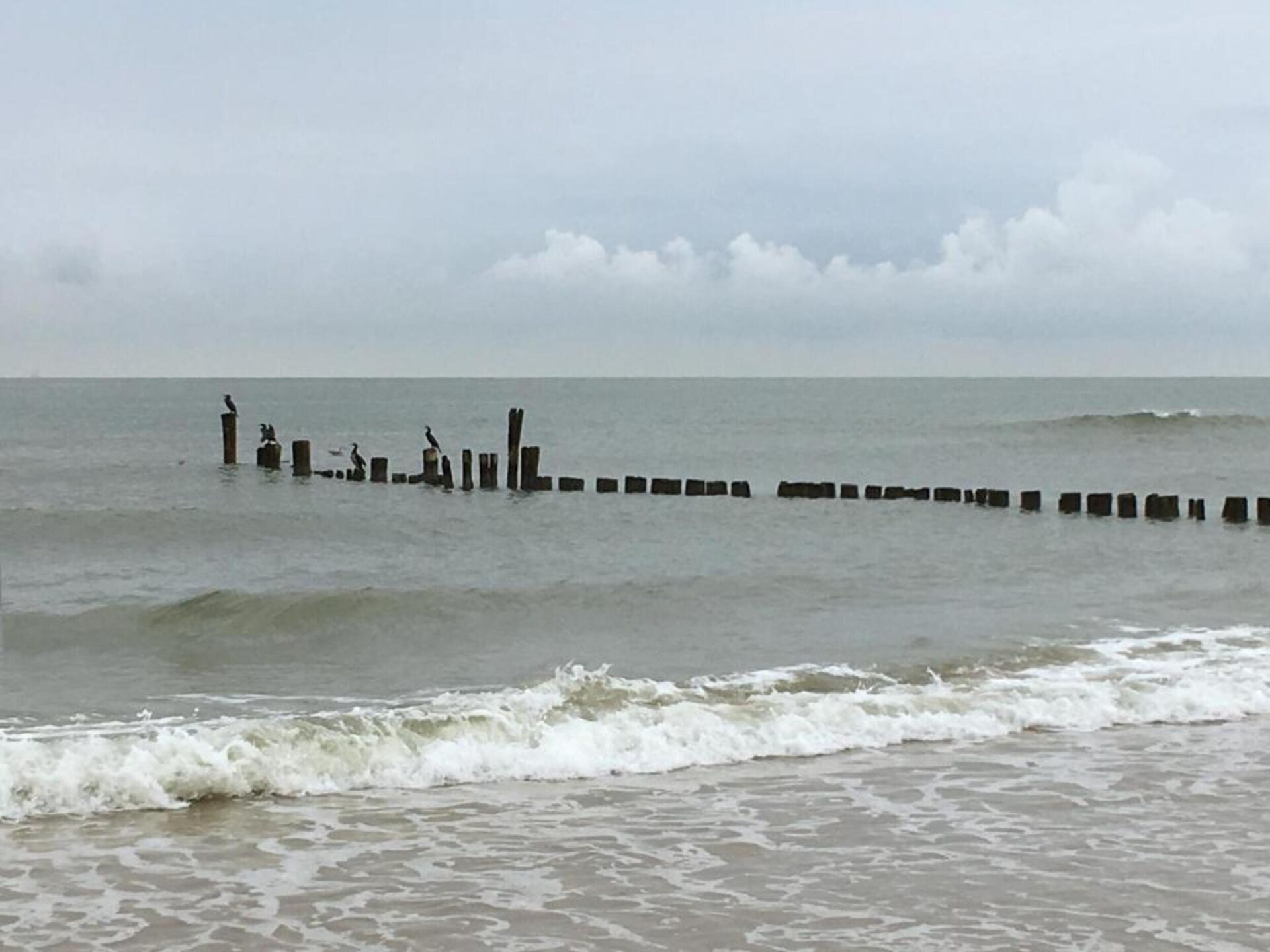 Vrijstaand boshuis voor twee met haard bij Bergen en zee - foto 18