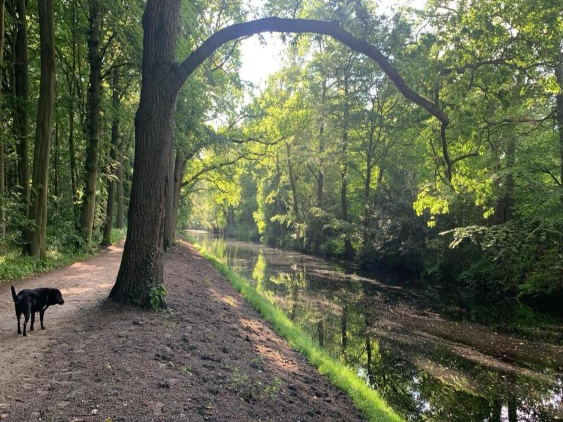 Vrijstaand boshuis voor twee met haard bij Bergen en zee - foto 26