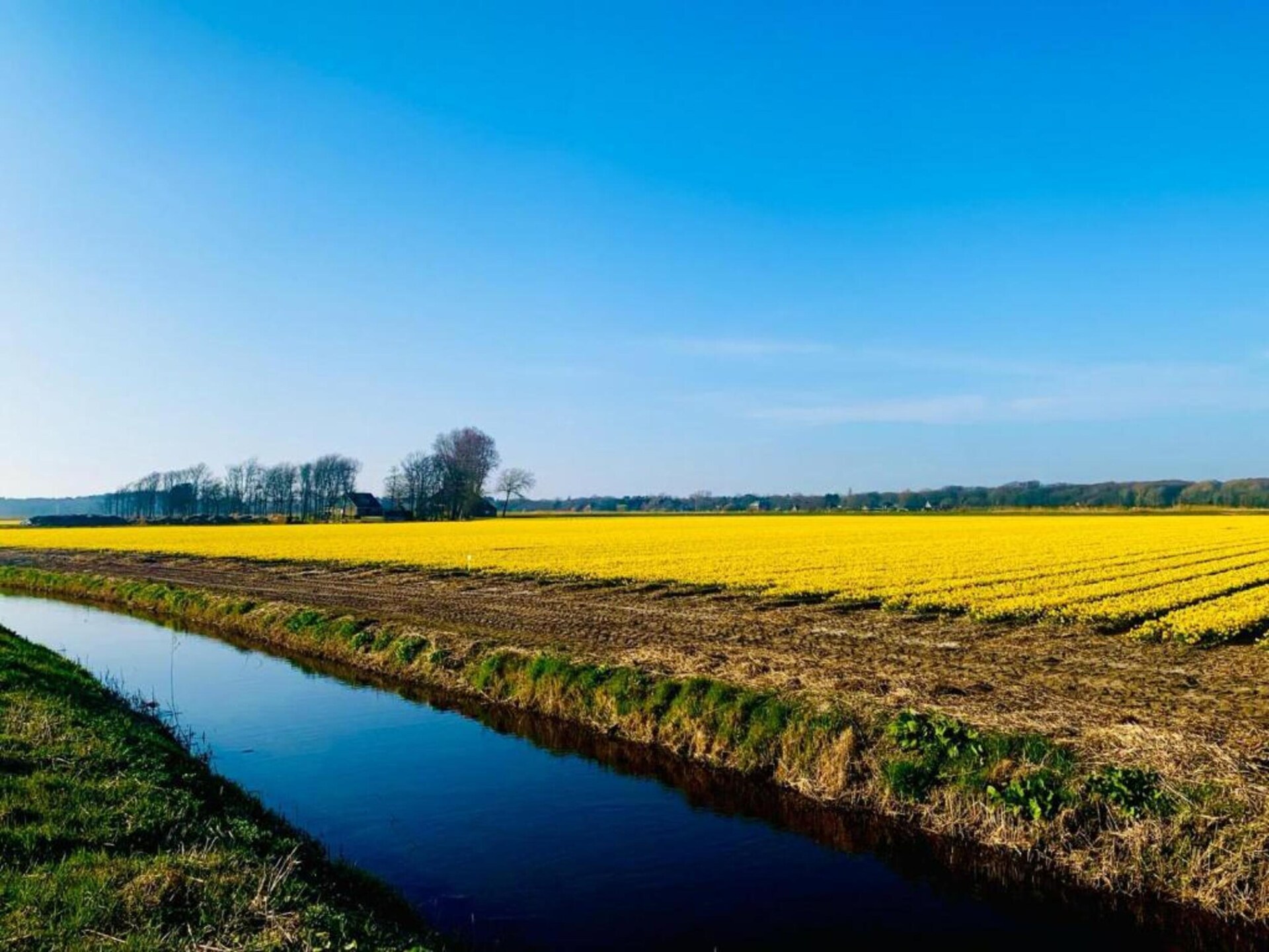 Vrijstaand boshuis voor twee met haard bij Bergen en zee - foto 16