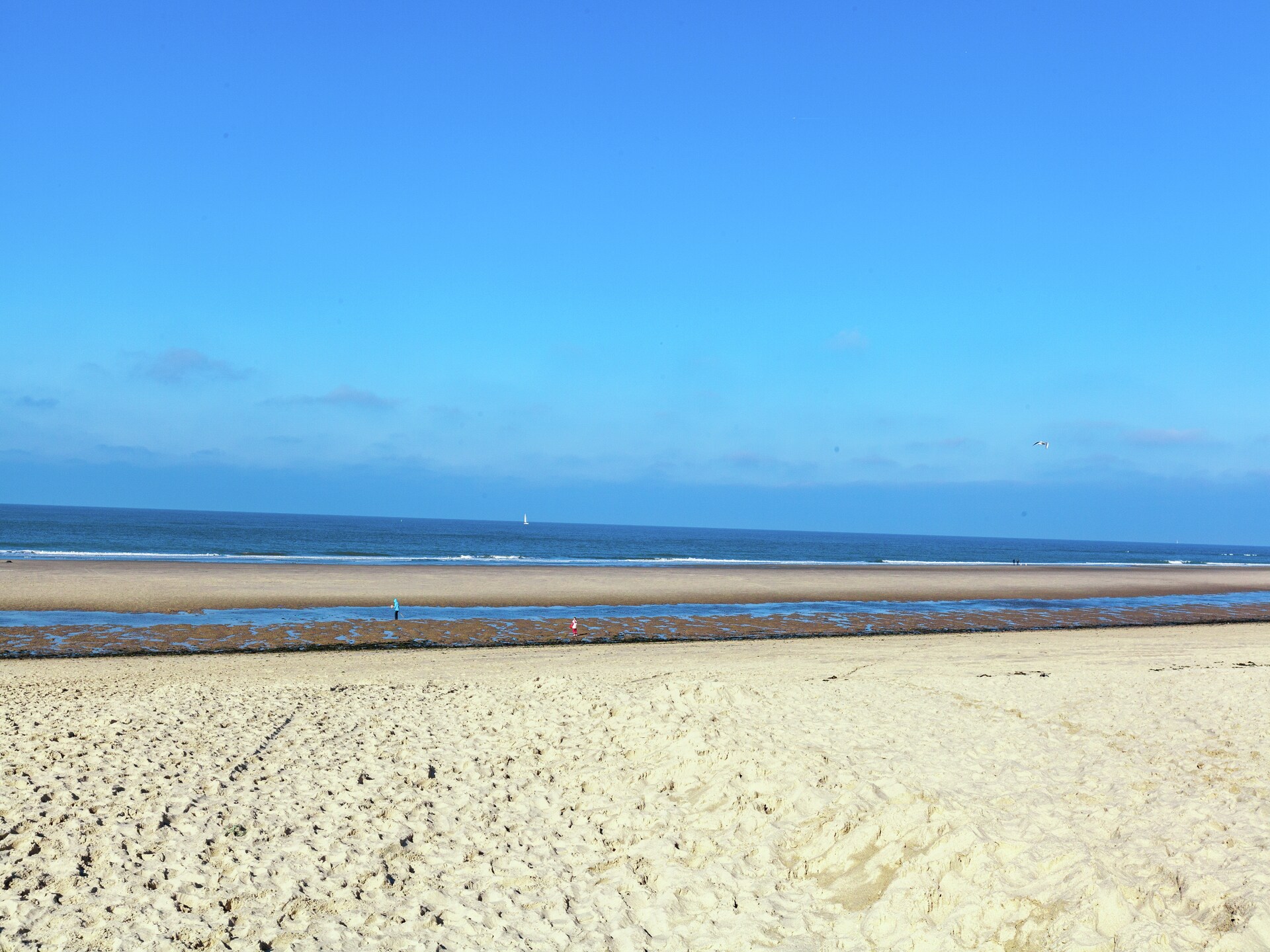 Vier Duinen: gezellig appartement op 700m van het strand in Oostkapelle - foto 27