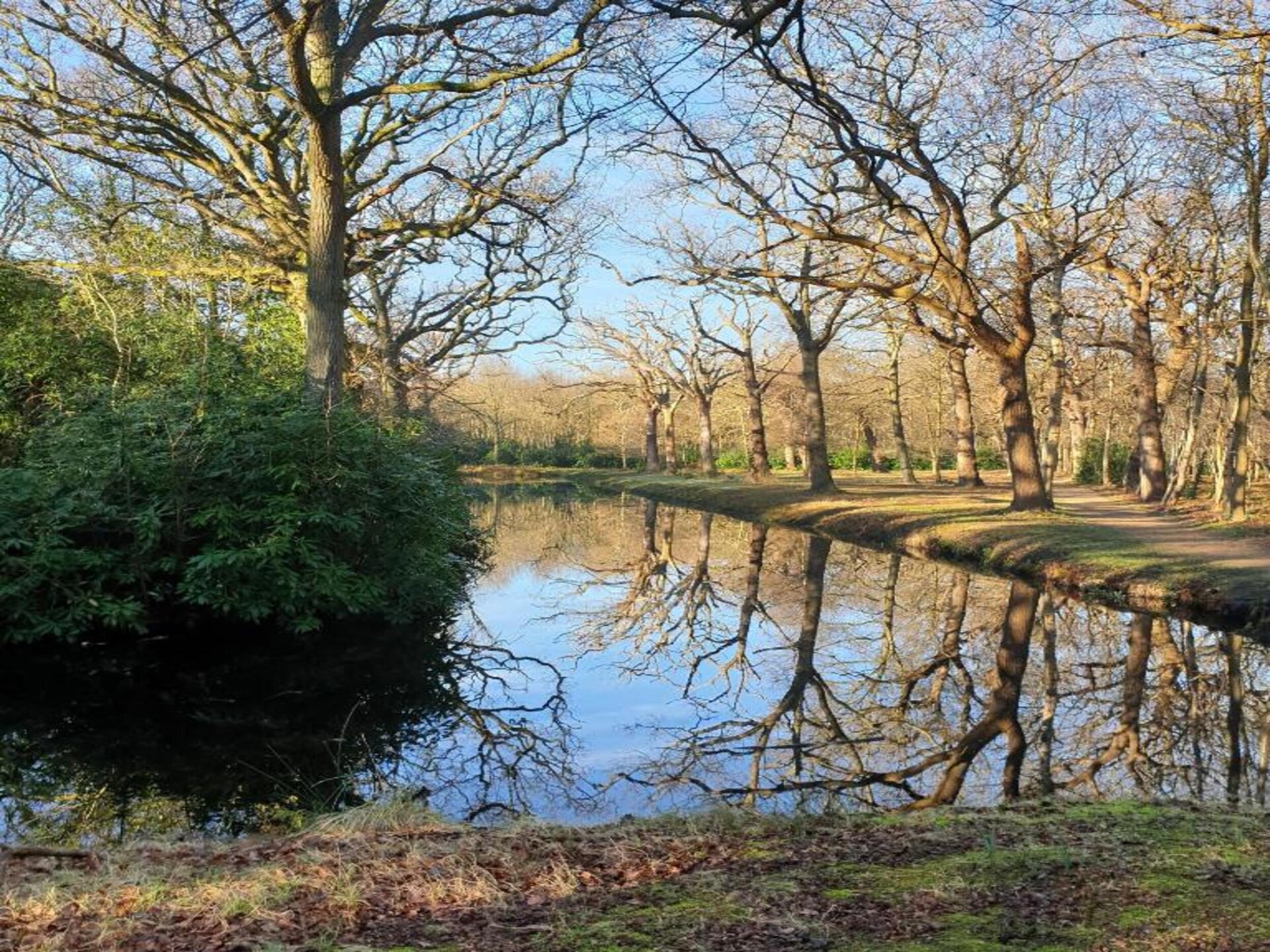 Twee Duinen: sfeervol appartement in het bos, 700m van strand - foto 33