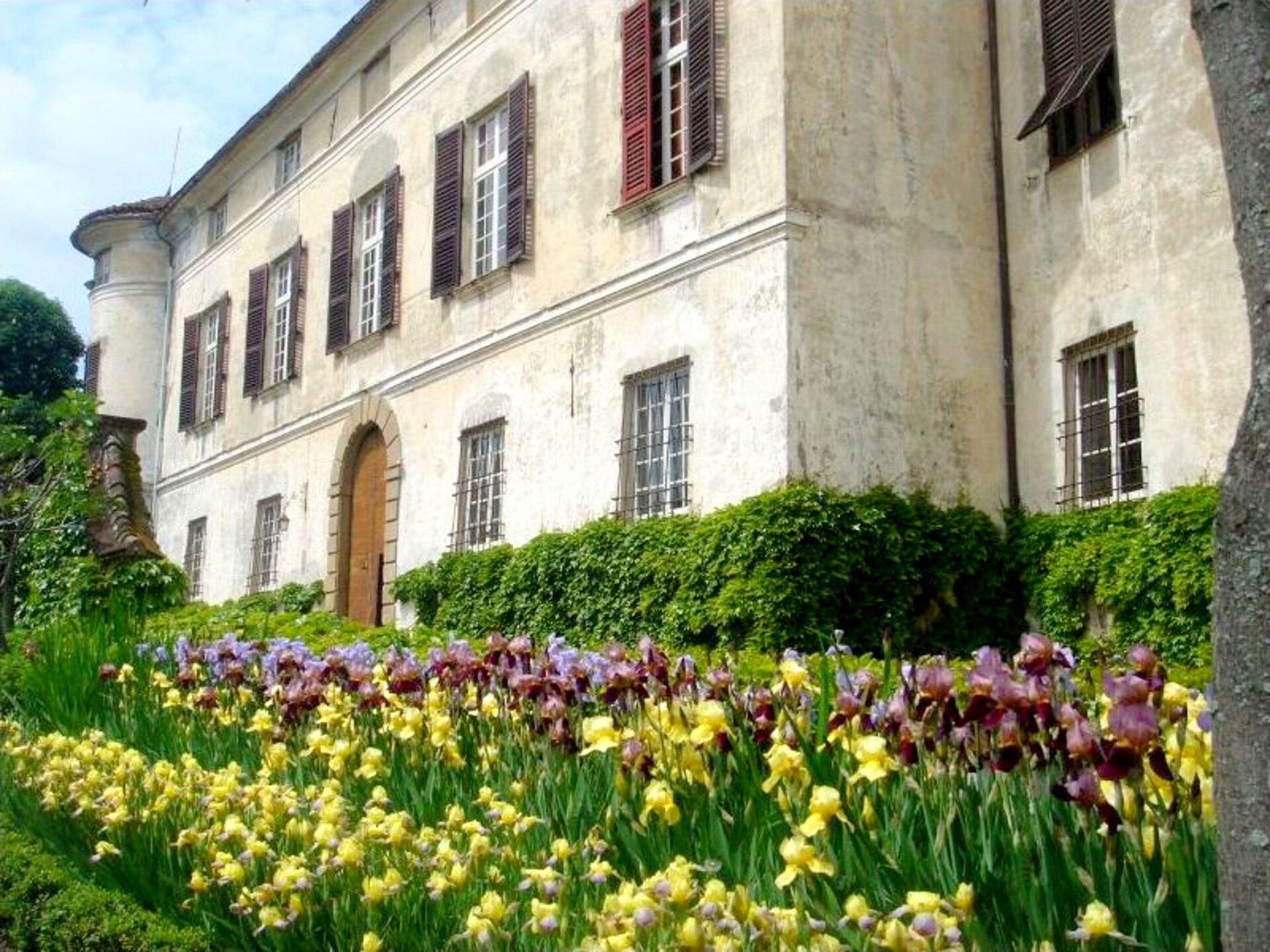 Historisch verblijf Castello Grimalda - Le Zie in Rocca Grimalda - foto 1