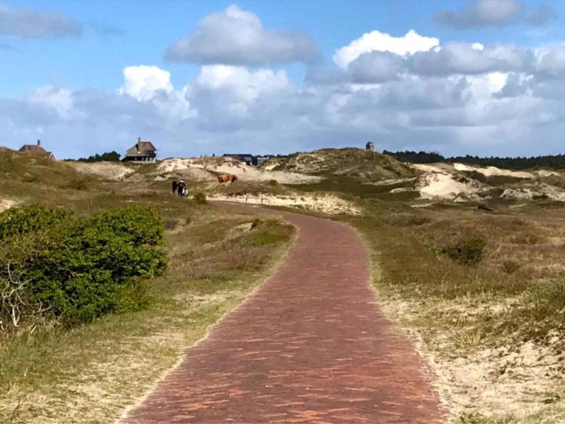 De Strandvogel: vrijstaand vakantiehuis op 800m van zee in Julianadorp - foto 34
