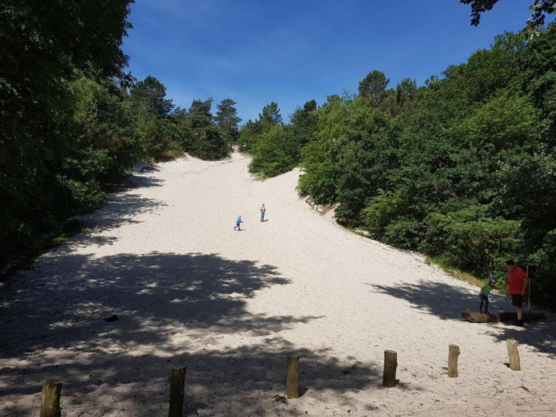 De Strandvogel: vrijstaand vakantiehuis op 800m van zee in Julianadorp - foto 42
