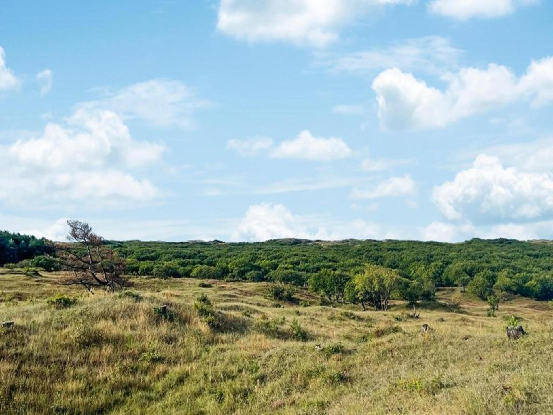 De Strandvogel: vrijstaand vakantiehuis op 800m van zee in Julianadorp - foto 27