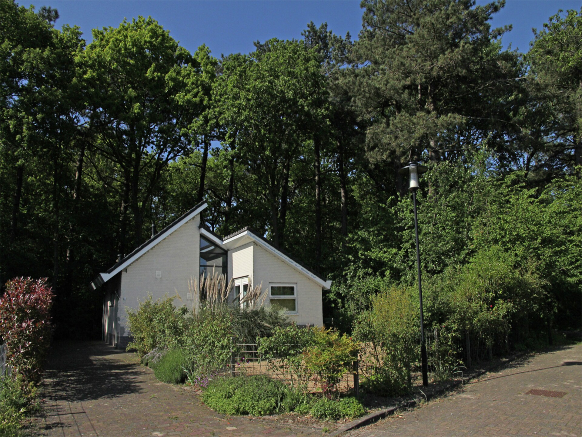 Boshof: Vrijstaand vakantiehuis in het bos bij Schoorlse Duinen - foto 12