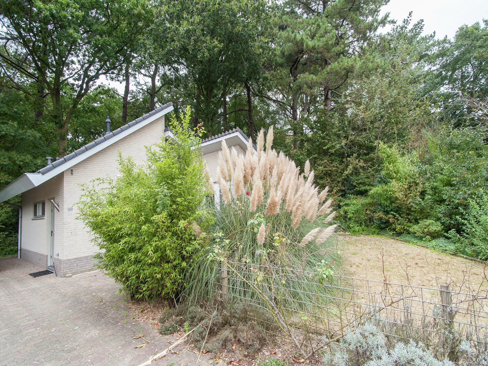 Boshof: Vrijstaand vakantiehuis in het bos bij Schoorlse Duinen - foto 10