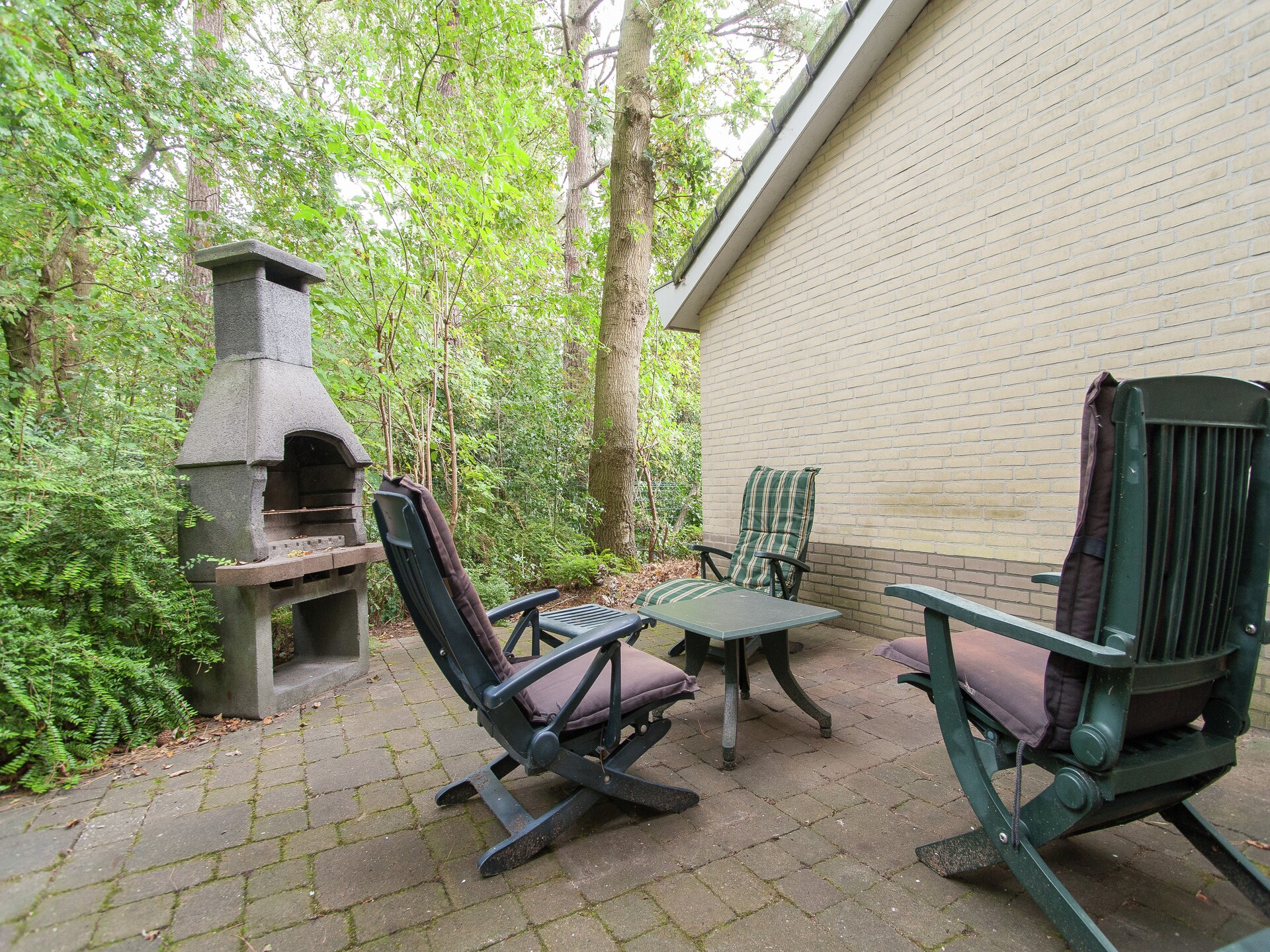 Boshof: Vrijstaand vakantiehuis in het bos bij Schoorlse Duinen - foto 13