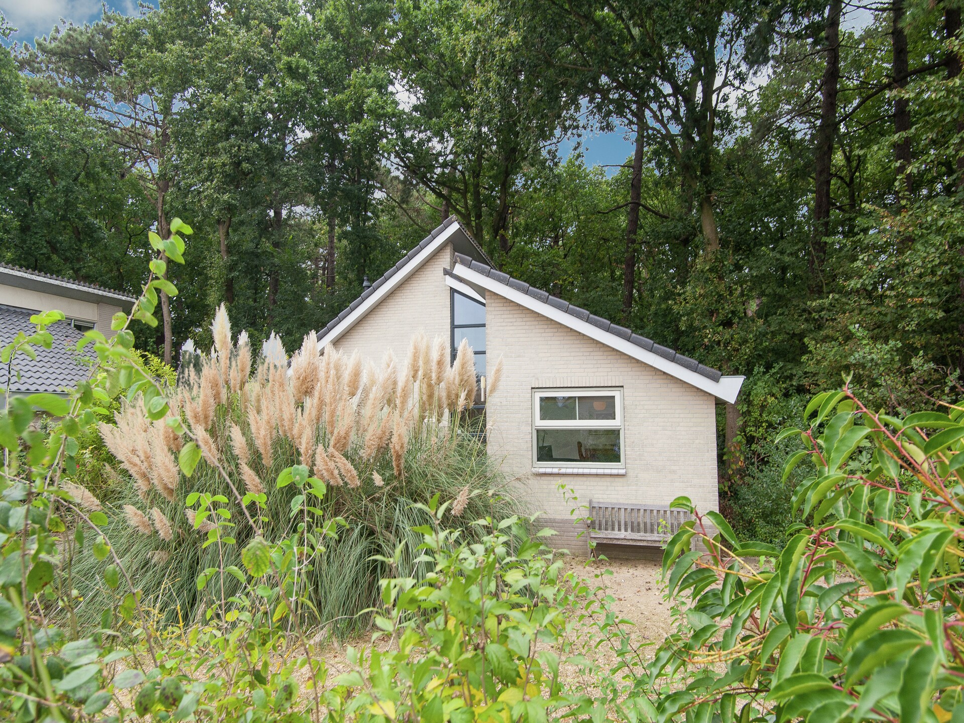 Boshof: Vrijstaand vakantiehuis in het bos bij Schoorlse Duinen - foto 11