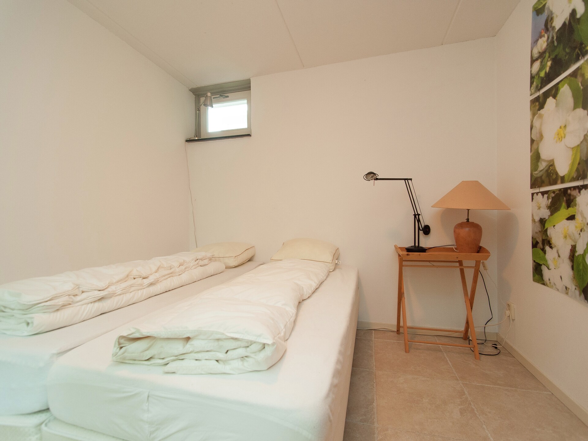 Boshof: Vrijstaand vakantiehuis in het bos bij Schoorlse Duinen - foto 7