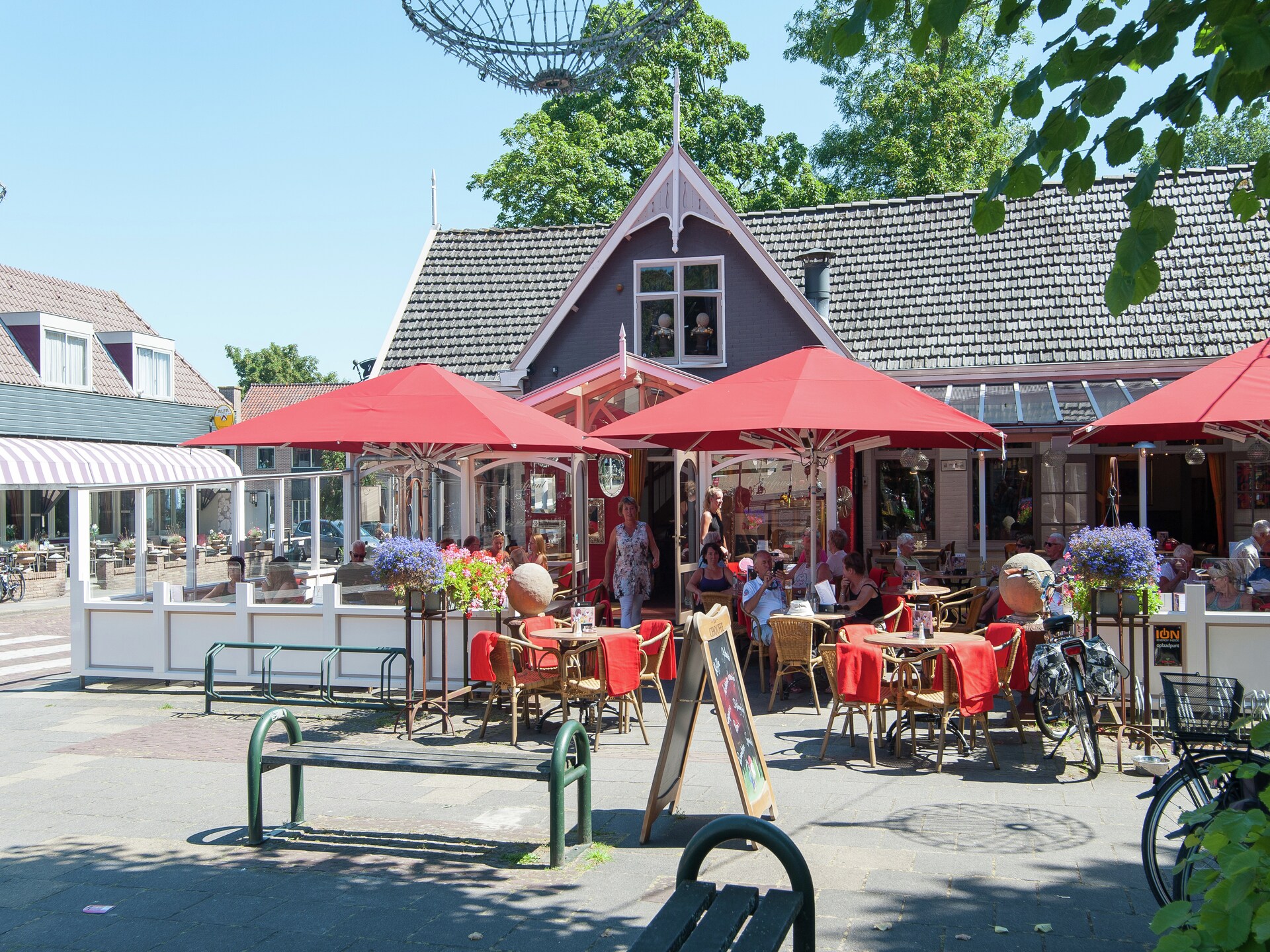 Boshof: Vrijstaand vakantiehuis in het bos bij Schoorlse Duinen - foto 16