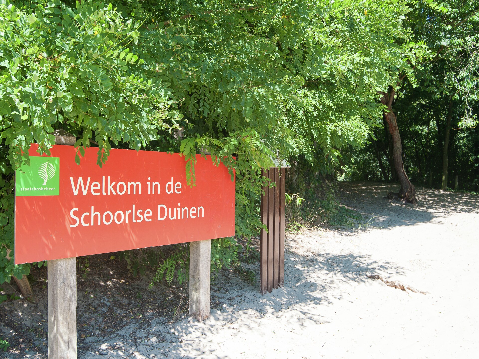Boshof: Vrijstaand vakantiehuis in het bos bij Schoorlse Duinen - foto 17