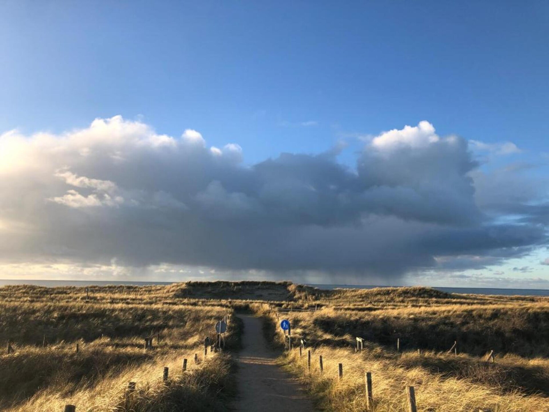 Boshof: Vrijstaand vakantiehuis in het bos bij Schoorlse Duinen - foto 24